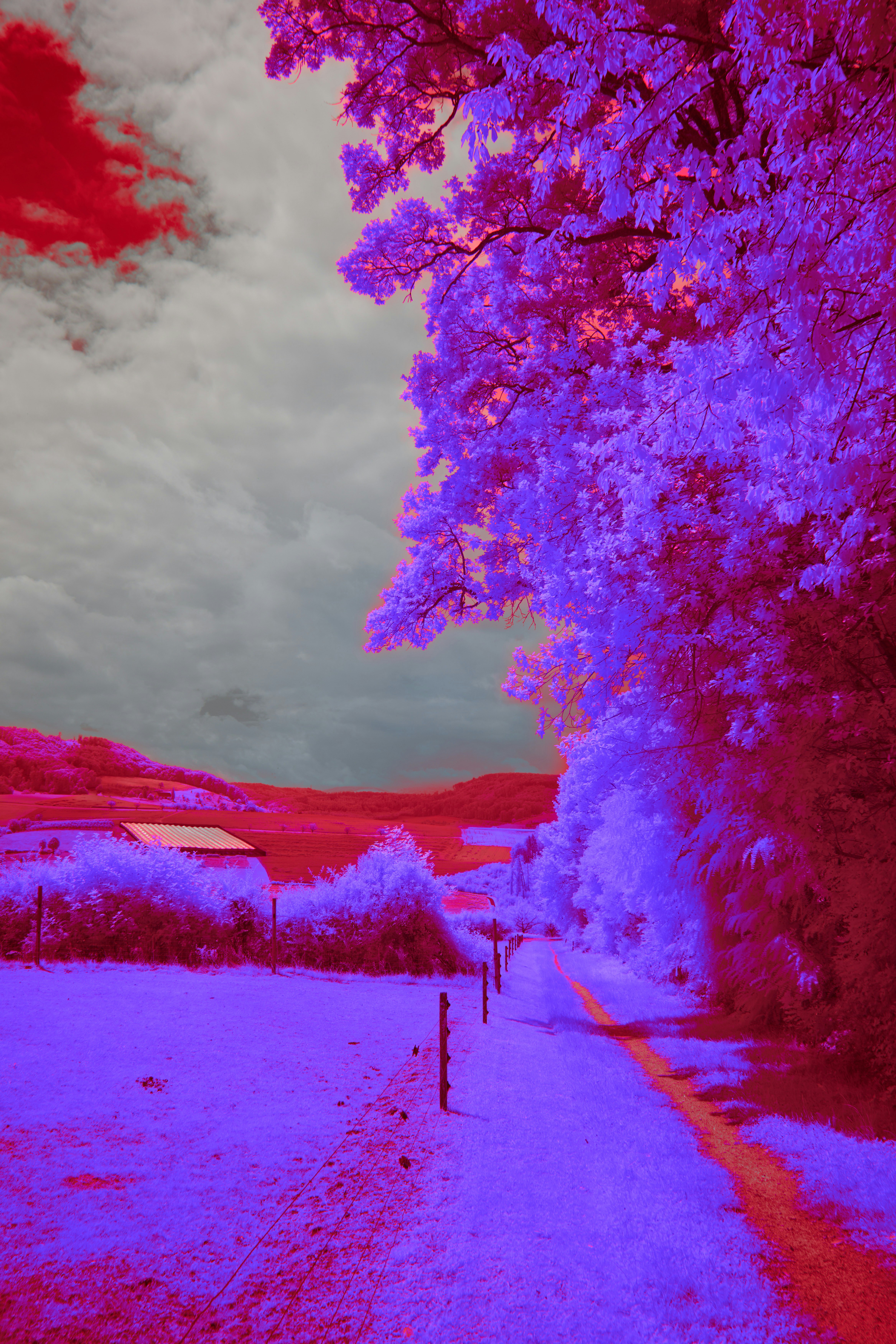 Photo by wolfgang_hasselmann