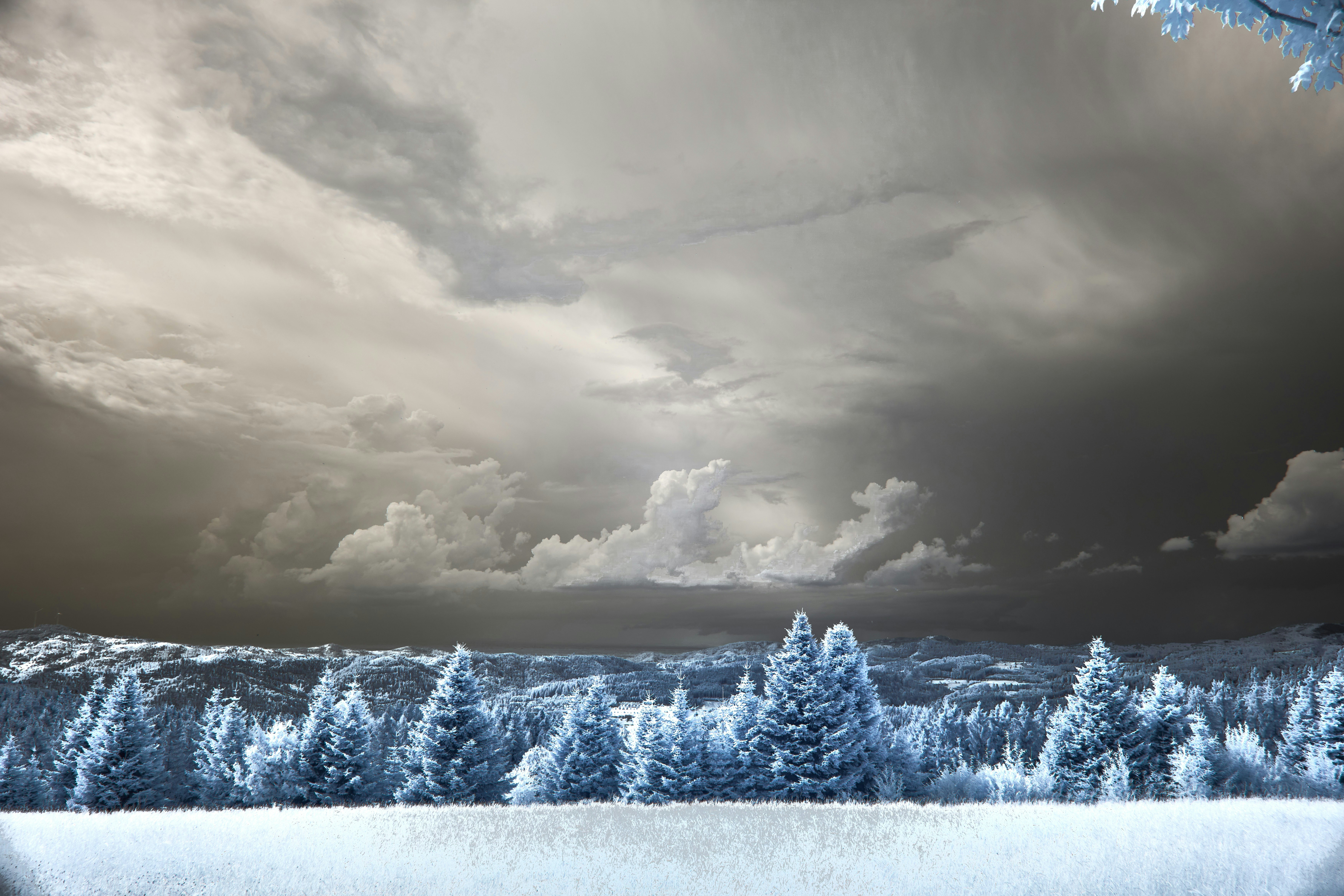 Photo by wolfgang_hasselmann