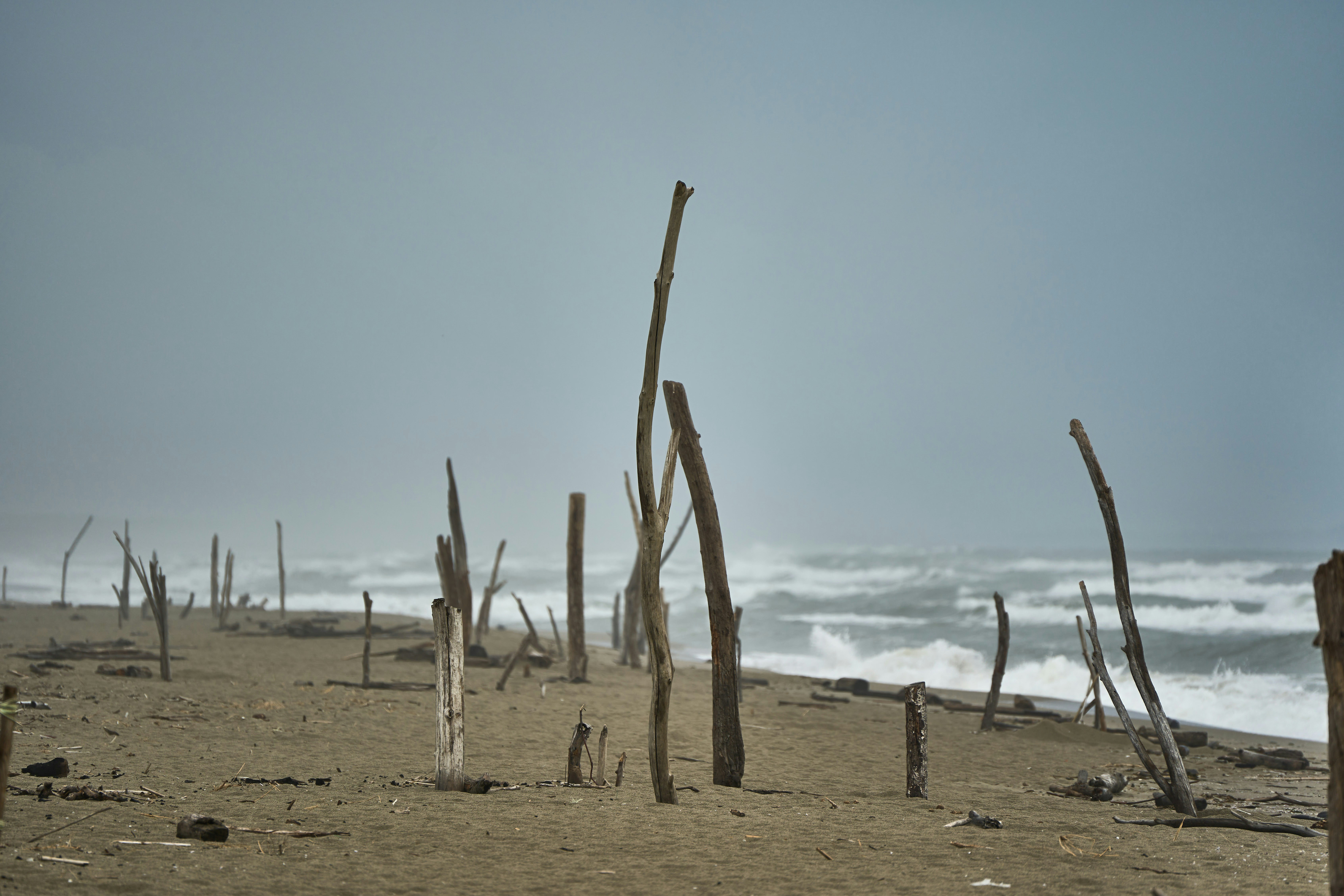 Photo by wolfgang_hasselmann