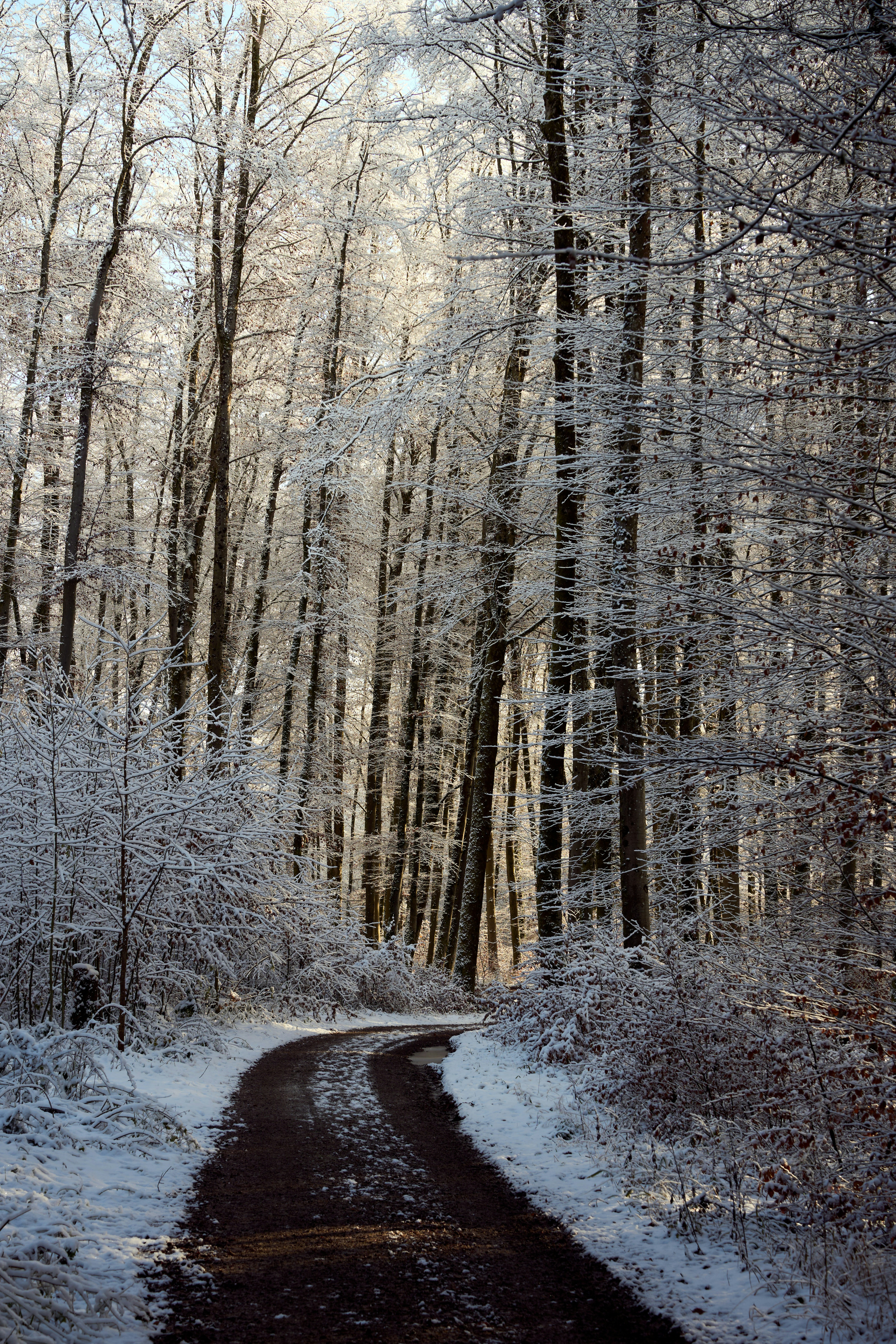 Photo by wolfgang_hasselmann