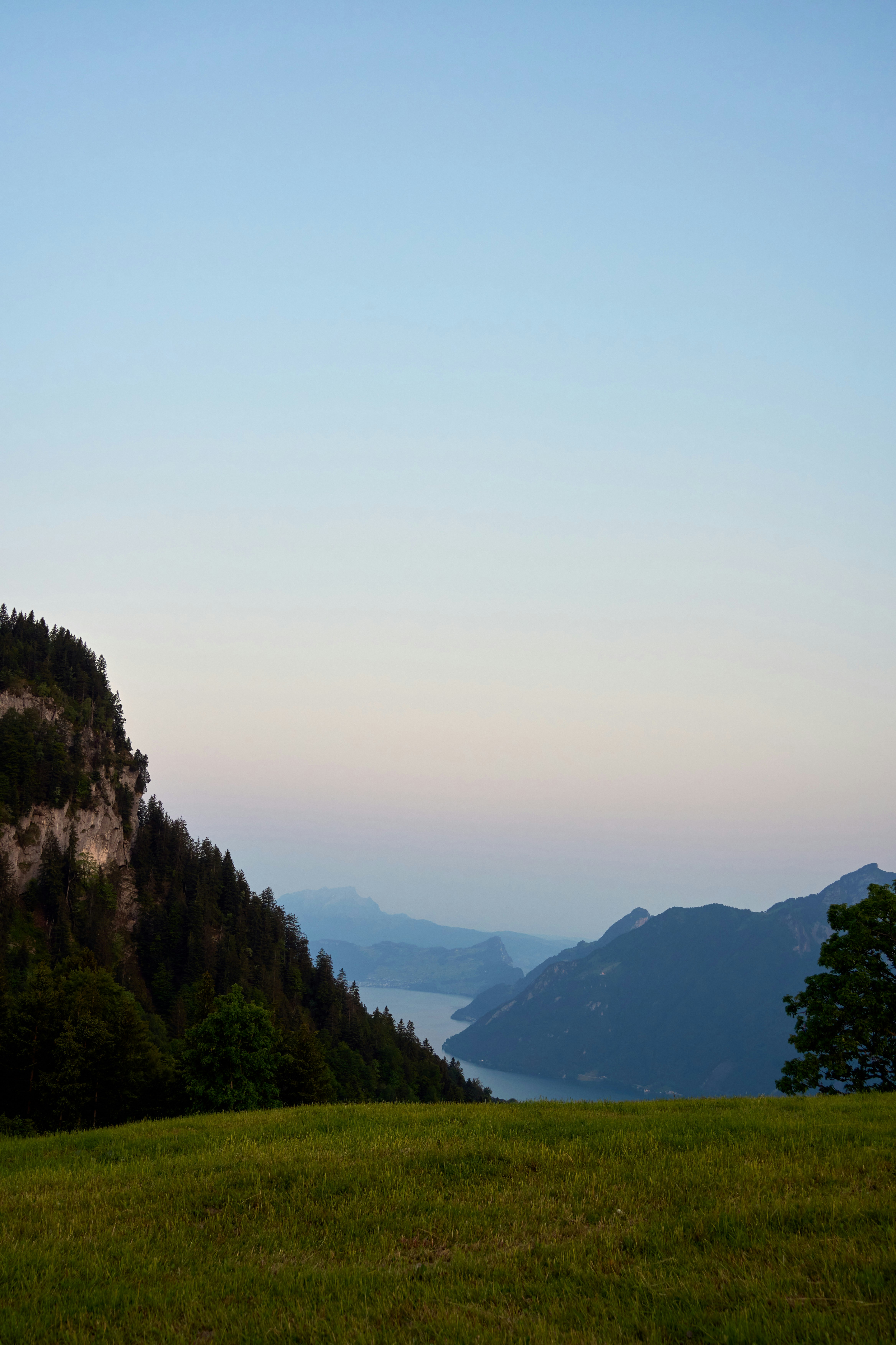 Photo by wolfgang_hasselmann
