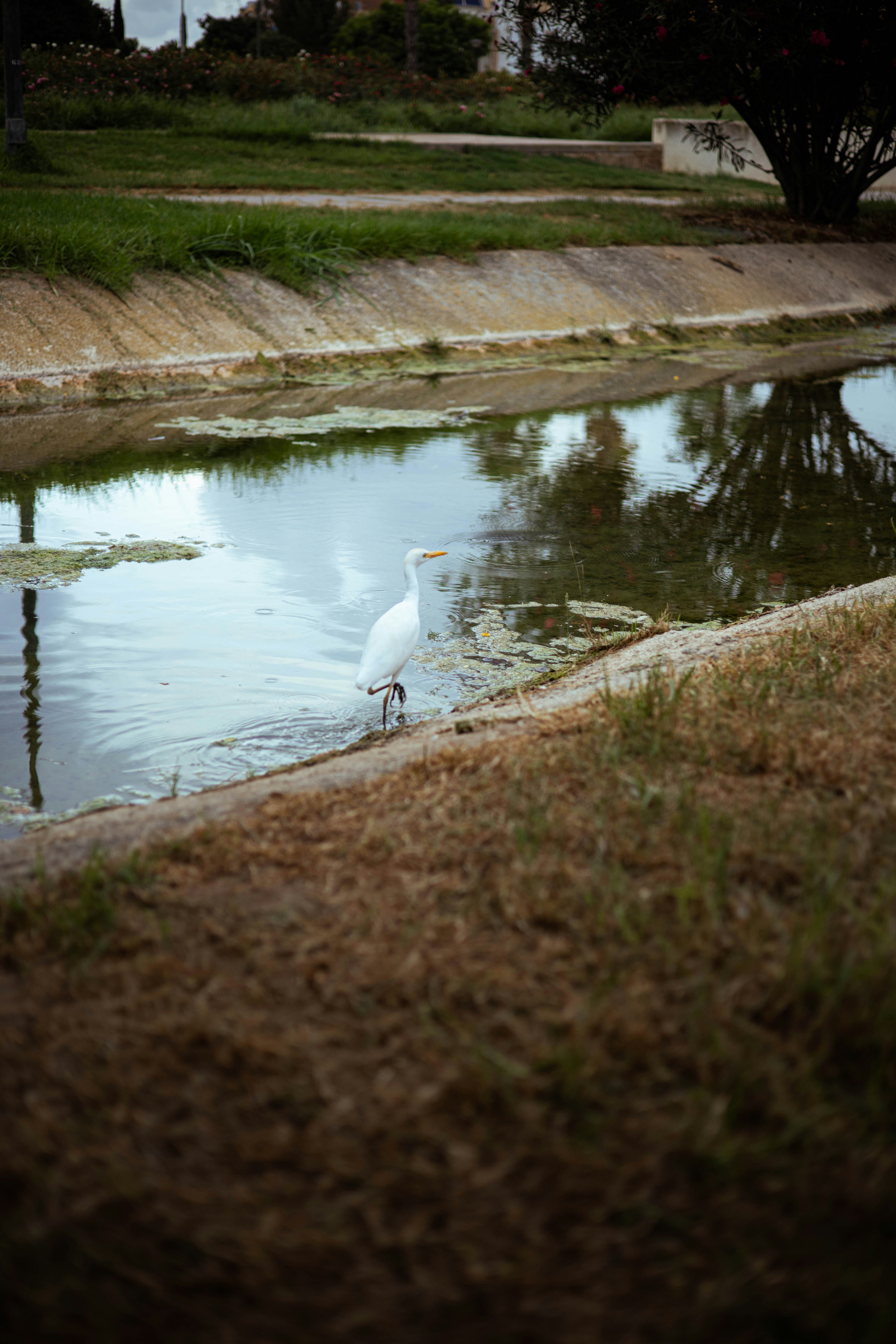 Photo by guille_velard