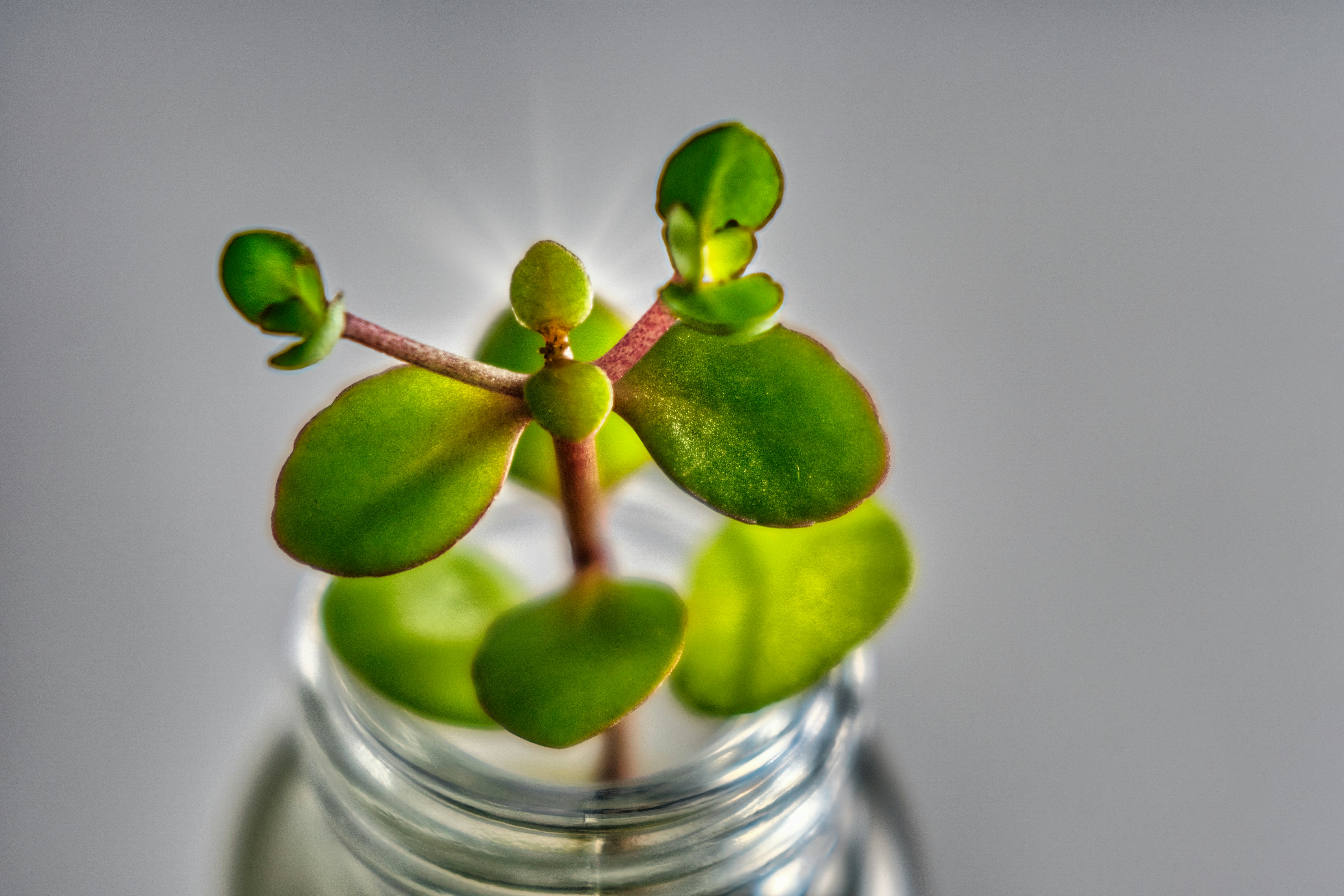 Photo by thomaskinto