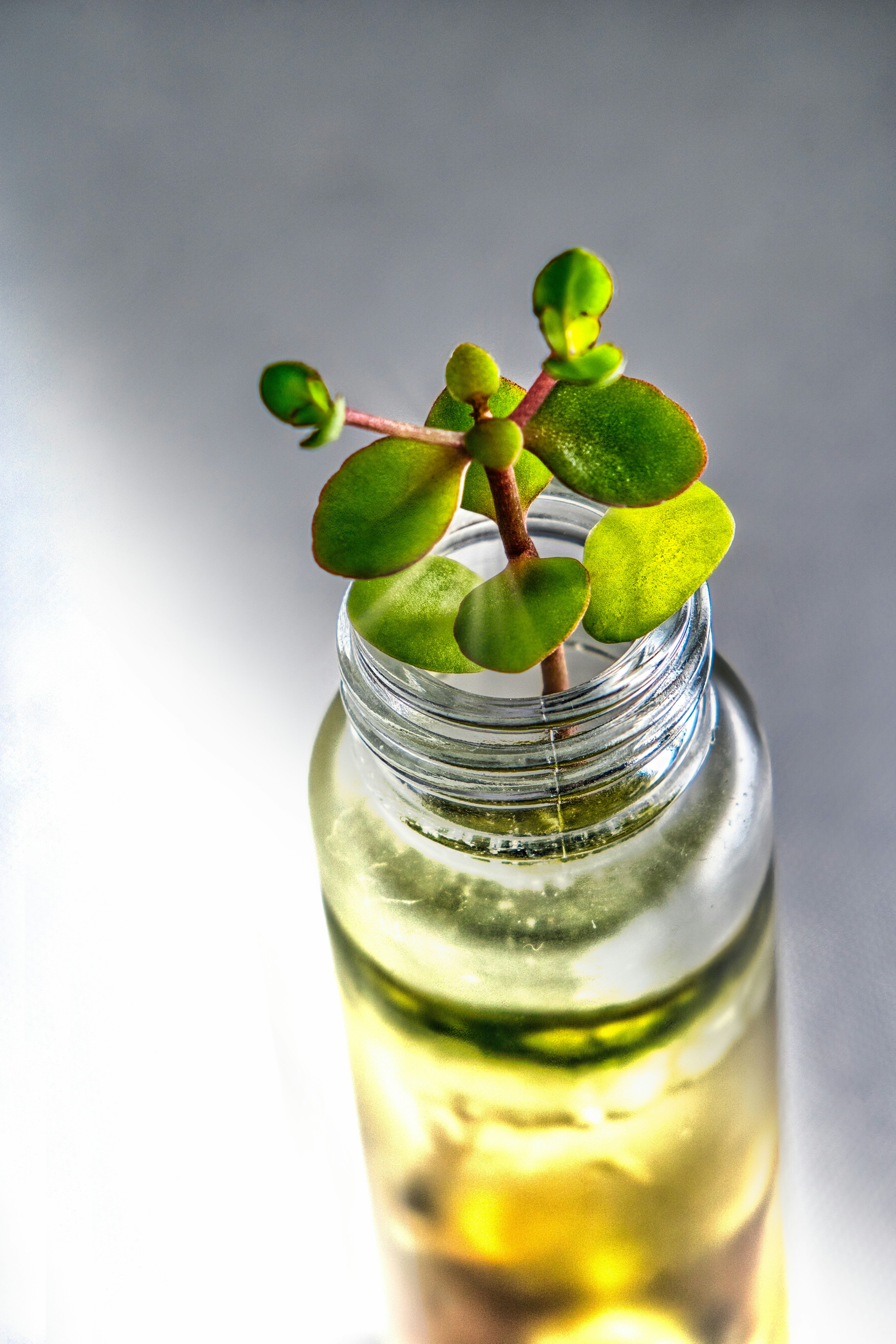 Photo by thomaskinto