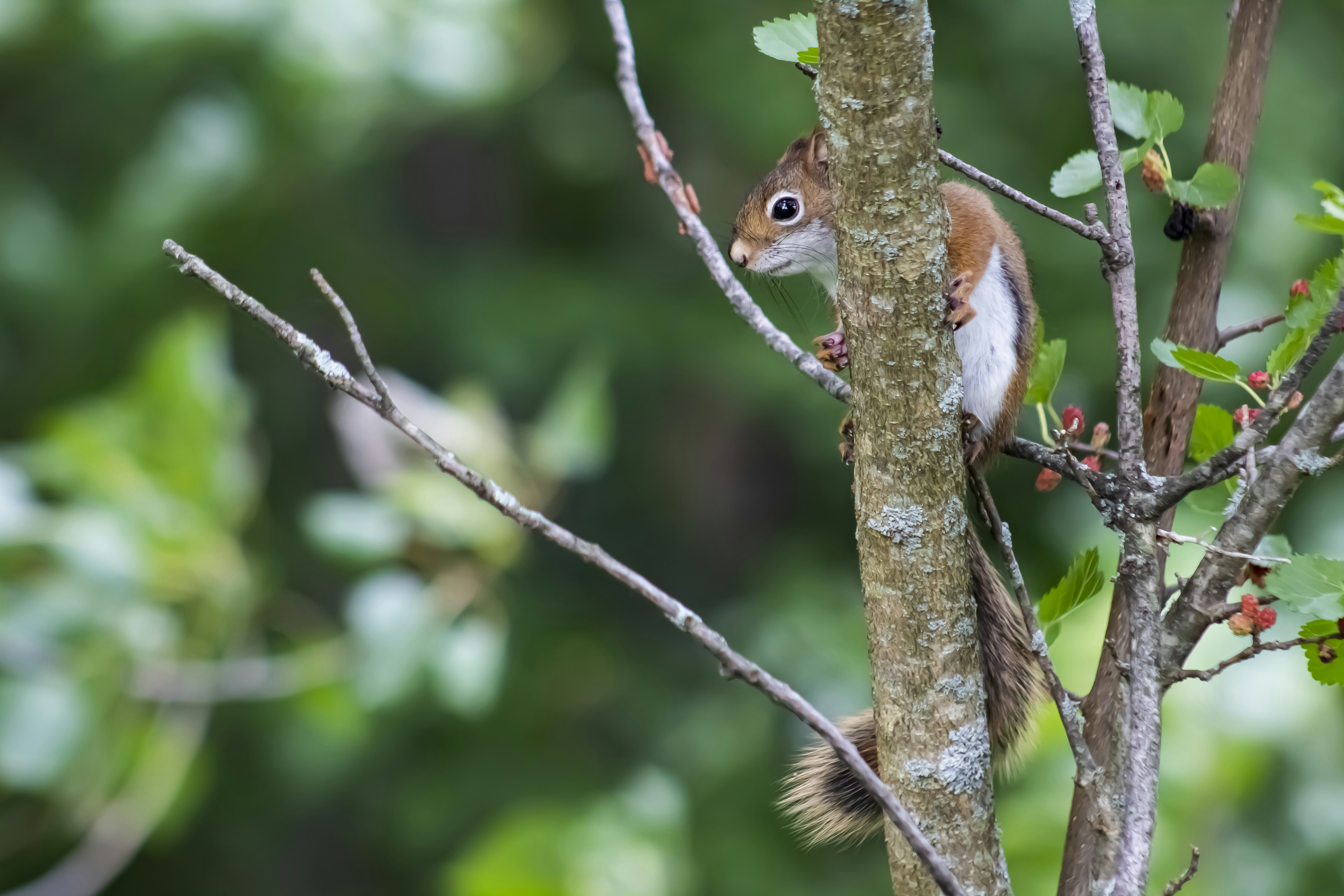 Photo by tylerohiobutler