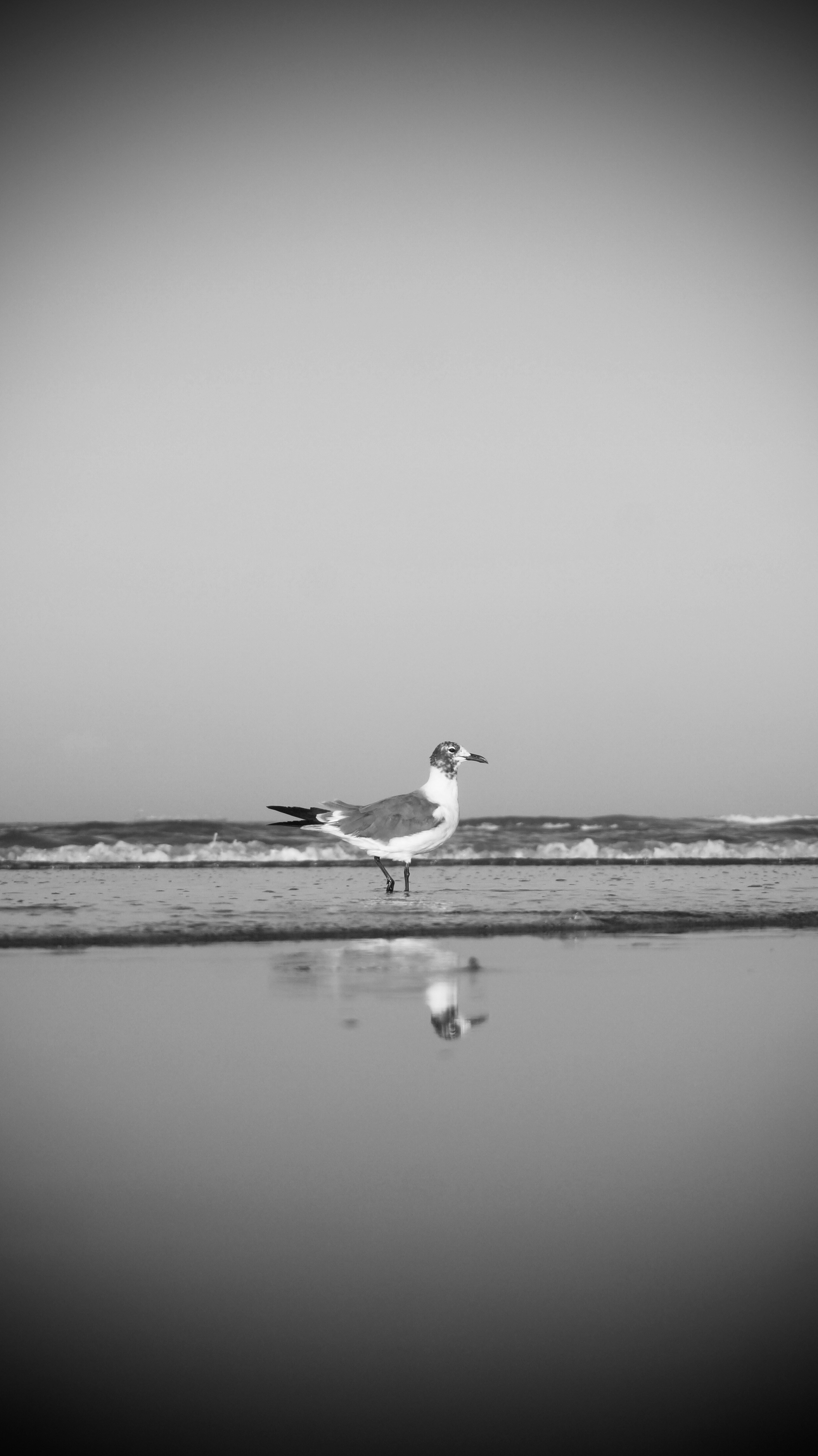 Photo by soniape0
