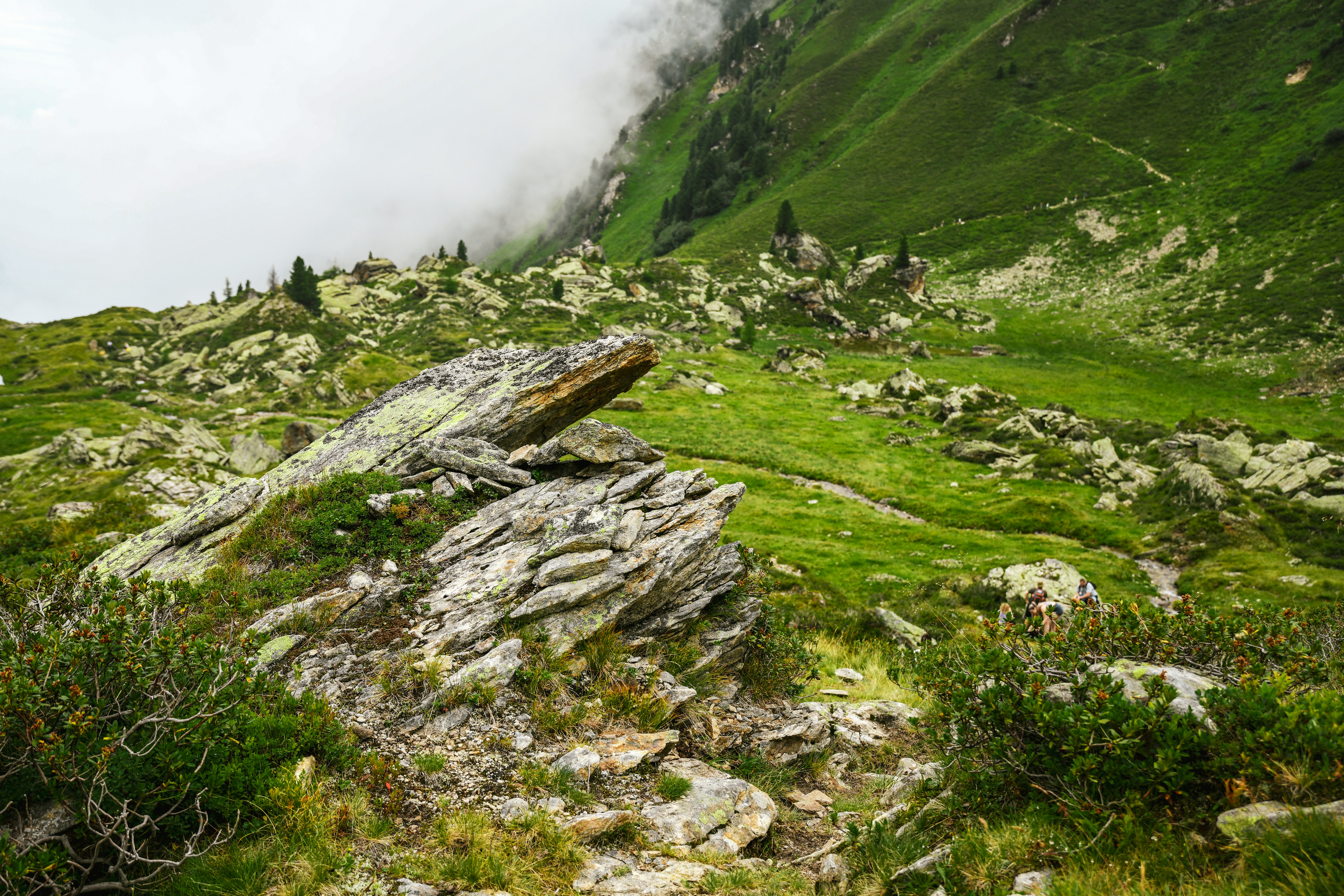 A rocky hillside covered in grass and rocks