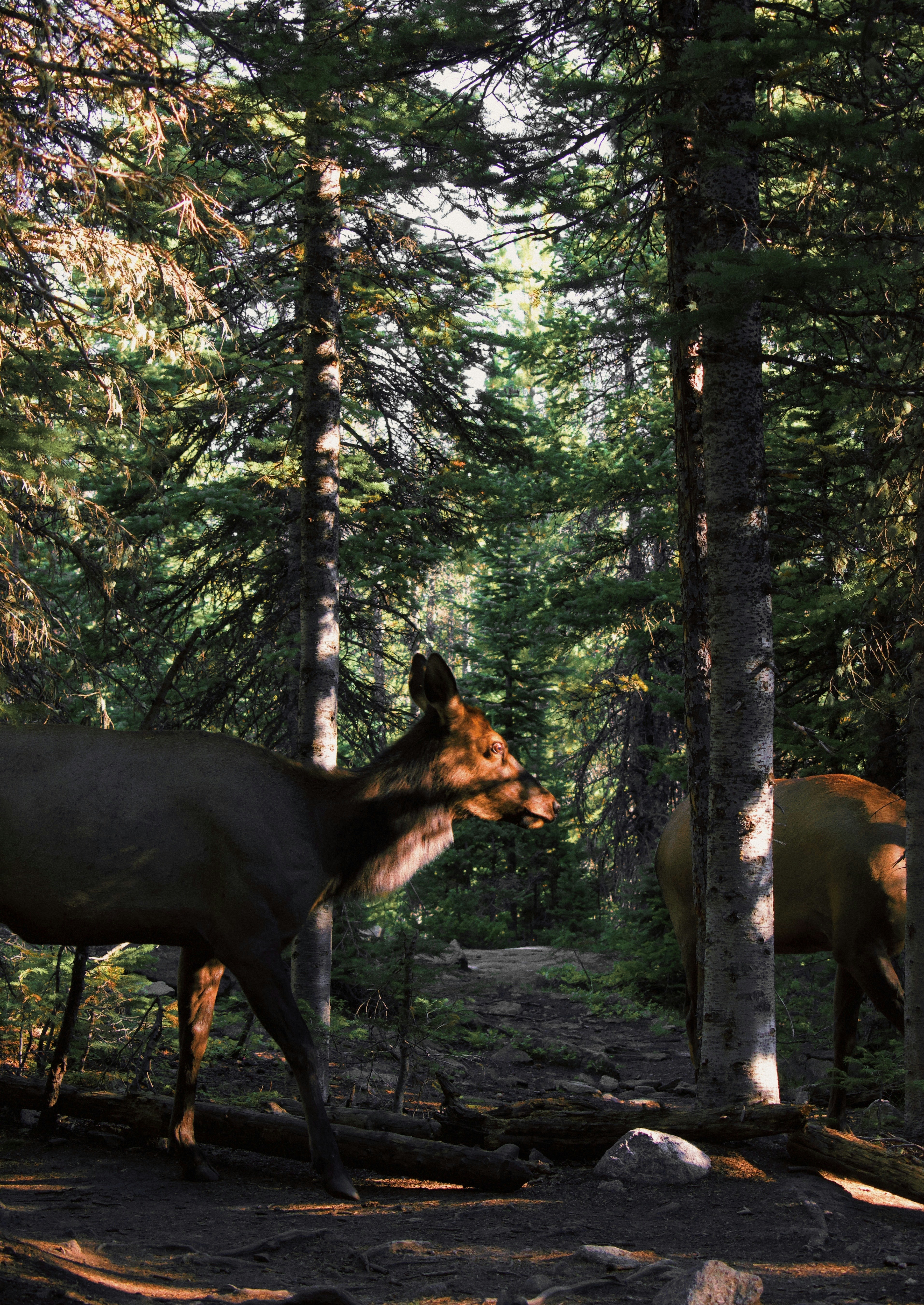 Photo by kylespalinger97