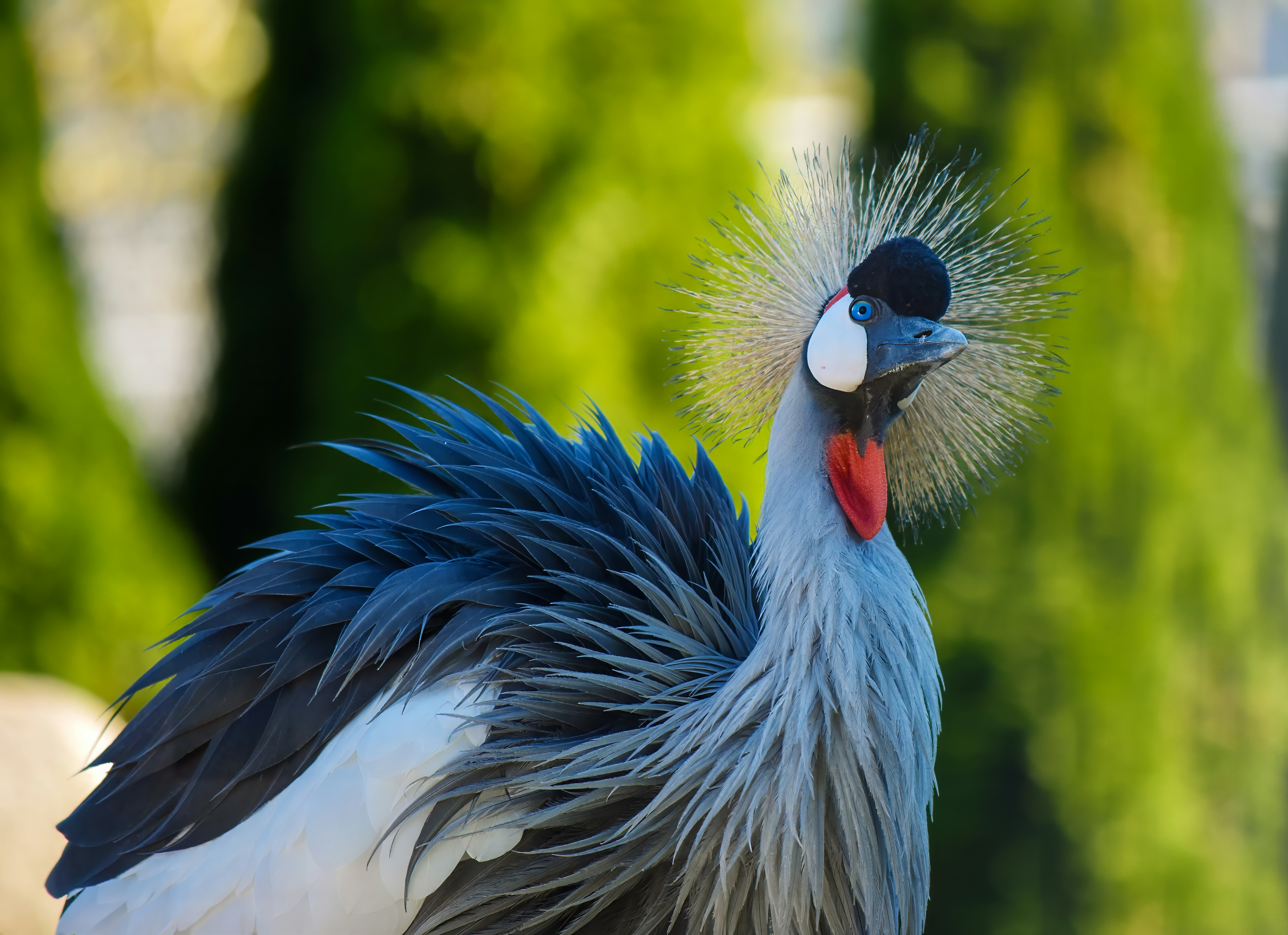 Photo by nh_landscapes