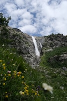 A waterfall is seen in the distance with wildflowers in the foreground