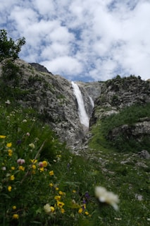 A waterfall is seen in the distance with wildflowers in the foreground