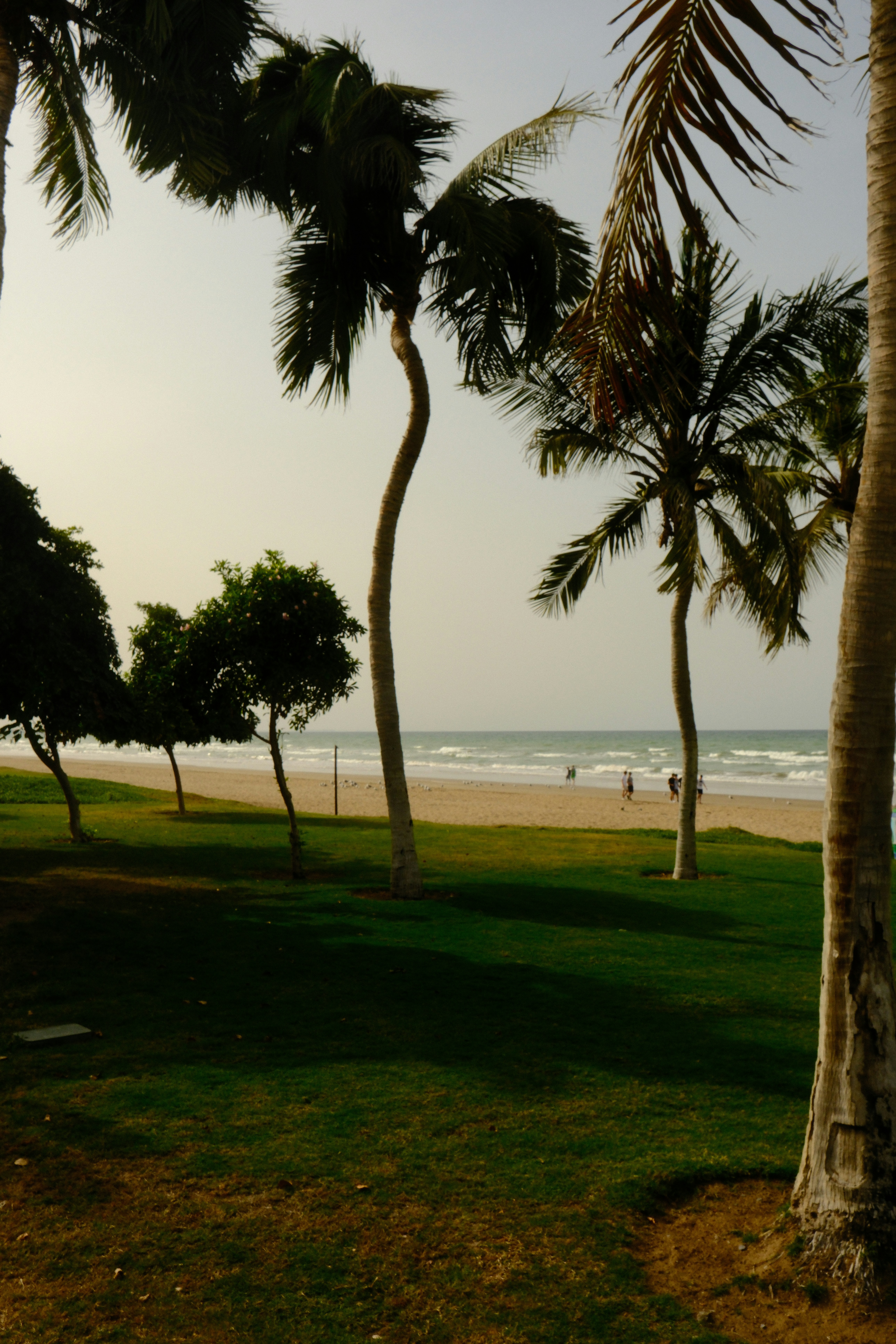 Photo by alekseixagafonov