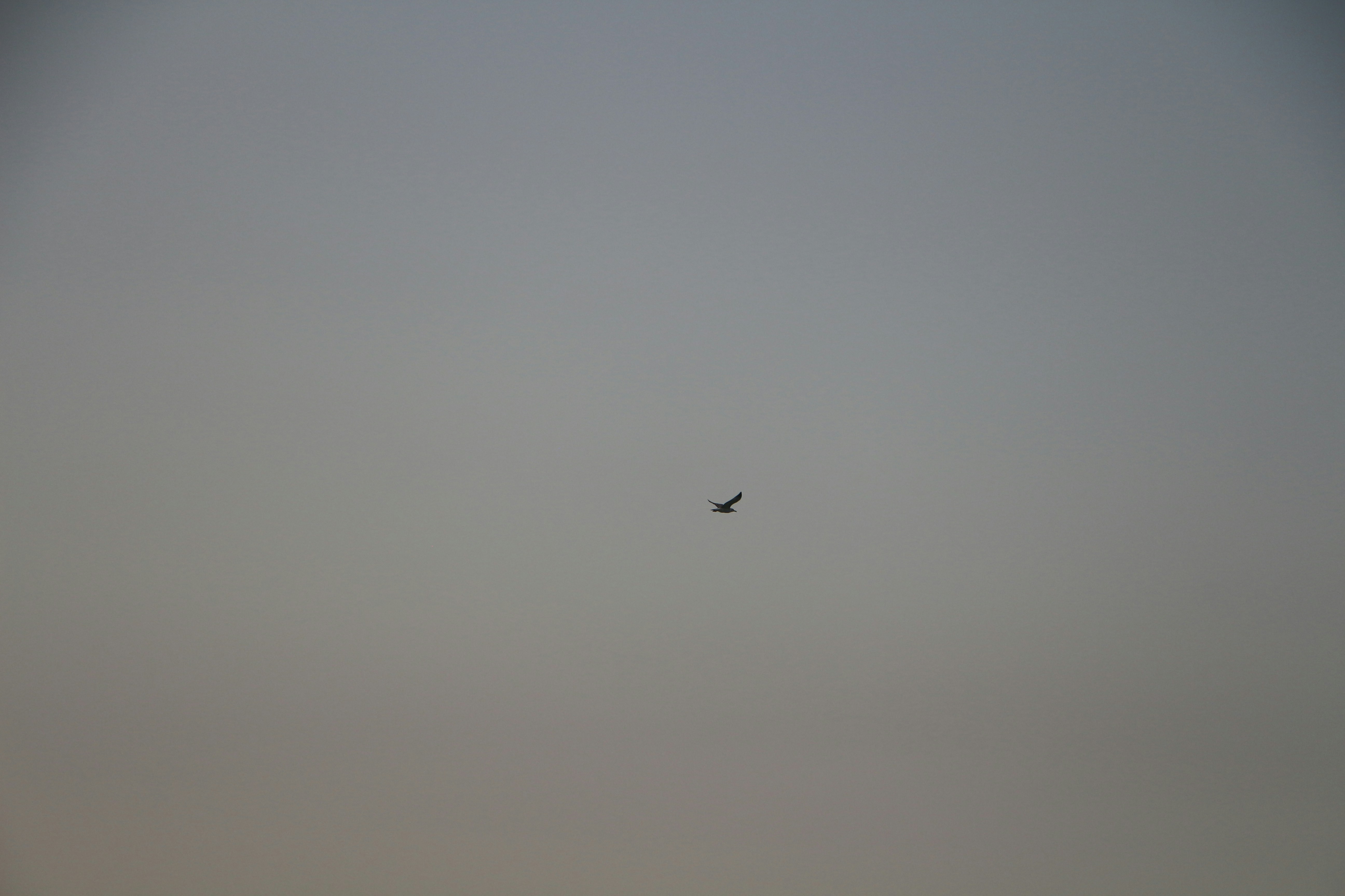 Photo by sara_pashakhanlou