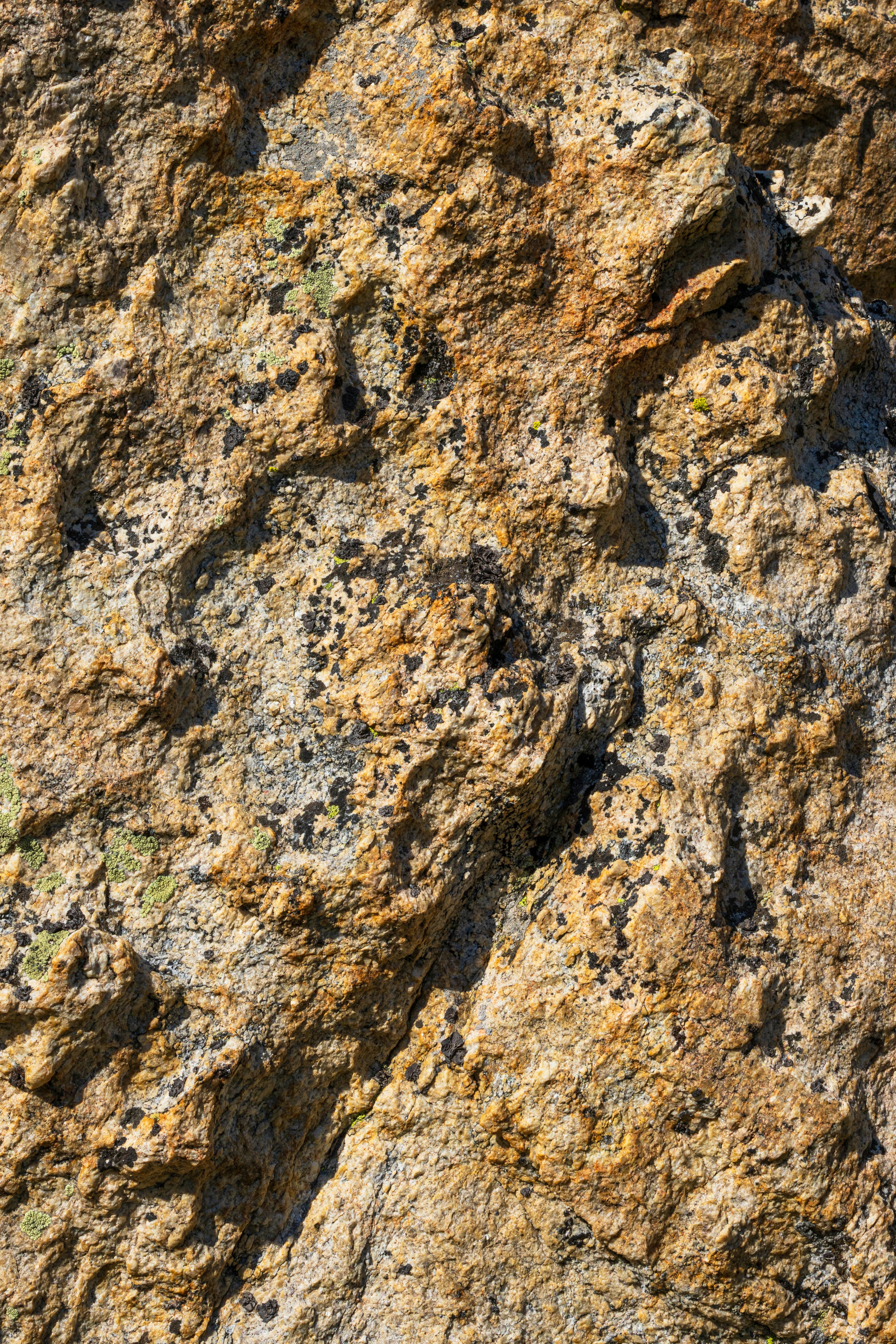 Photo by brandonstoll