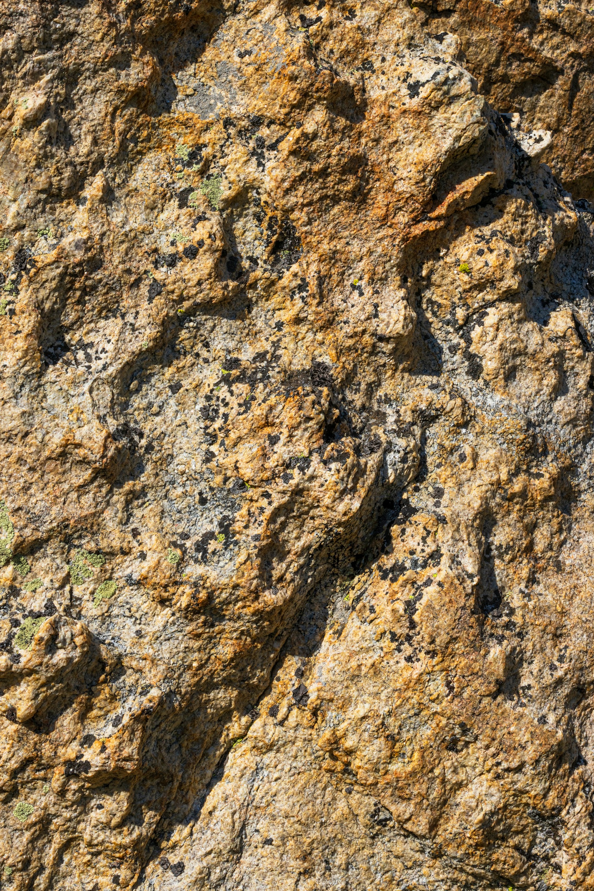 A close up of a rock with a bird on it