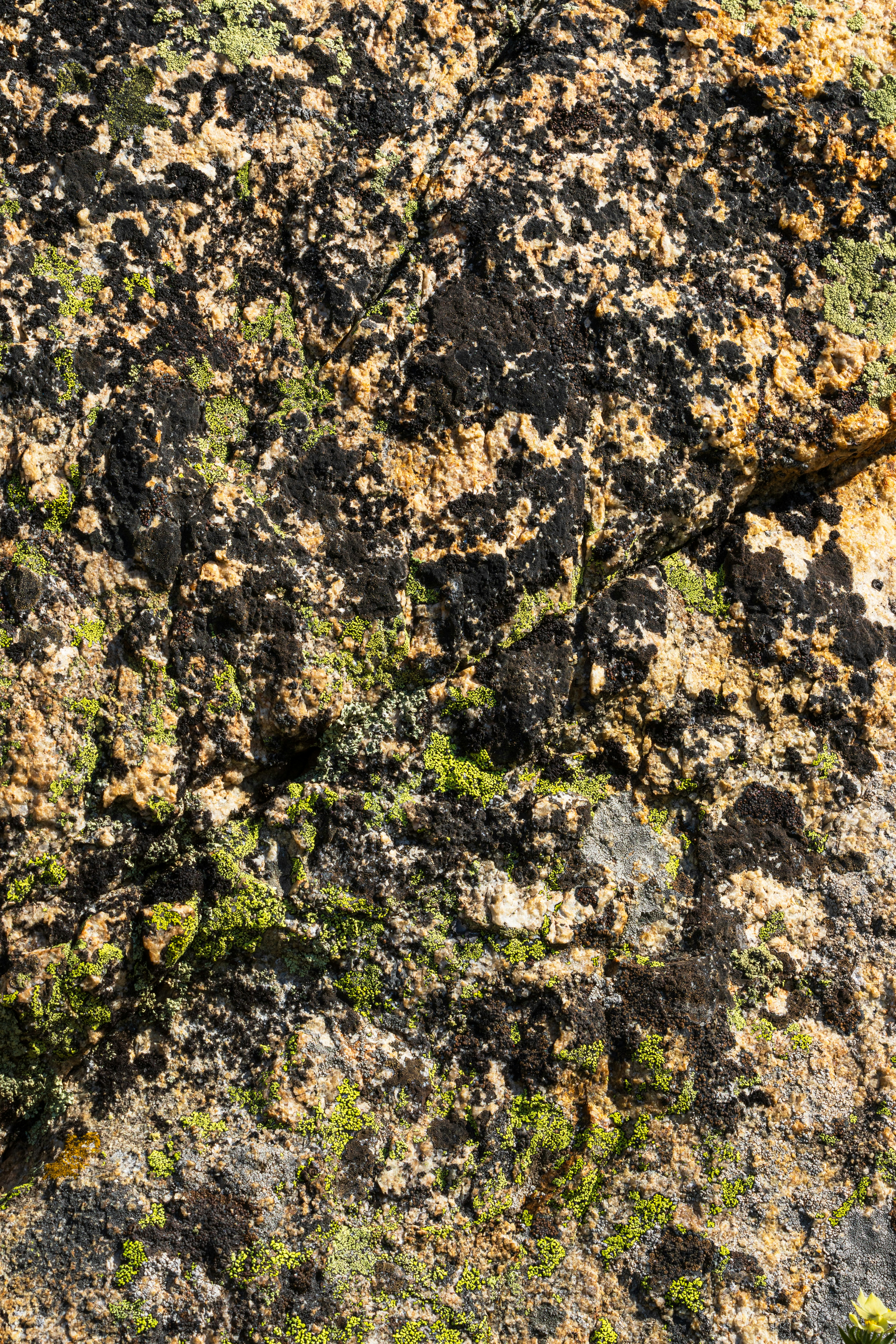 Photo by brandonstoll