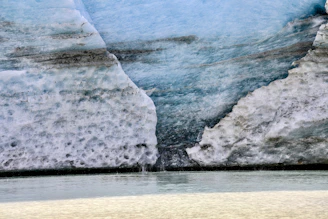 A polar bear standing in front of an iceberg
