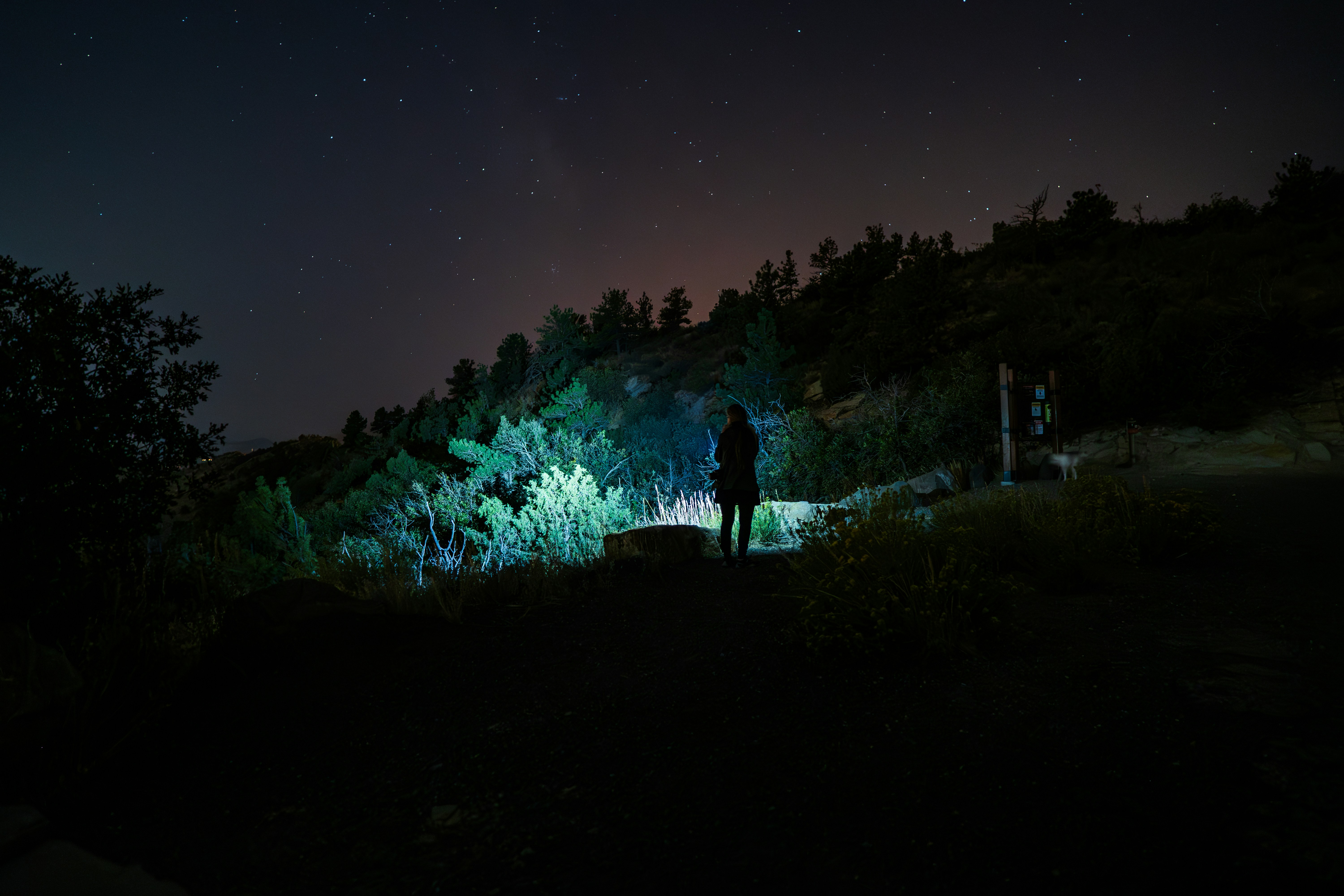 A person standing on a hill at night