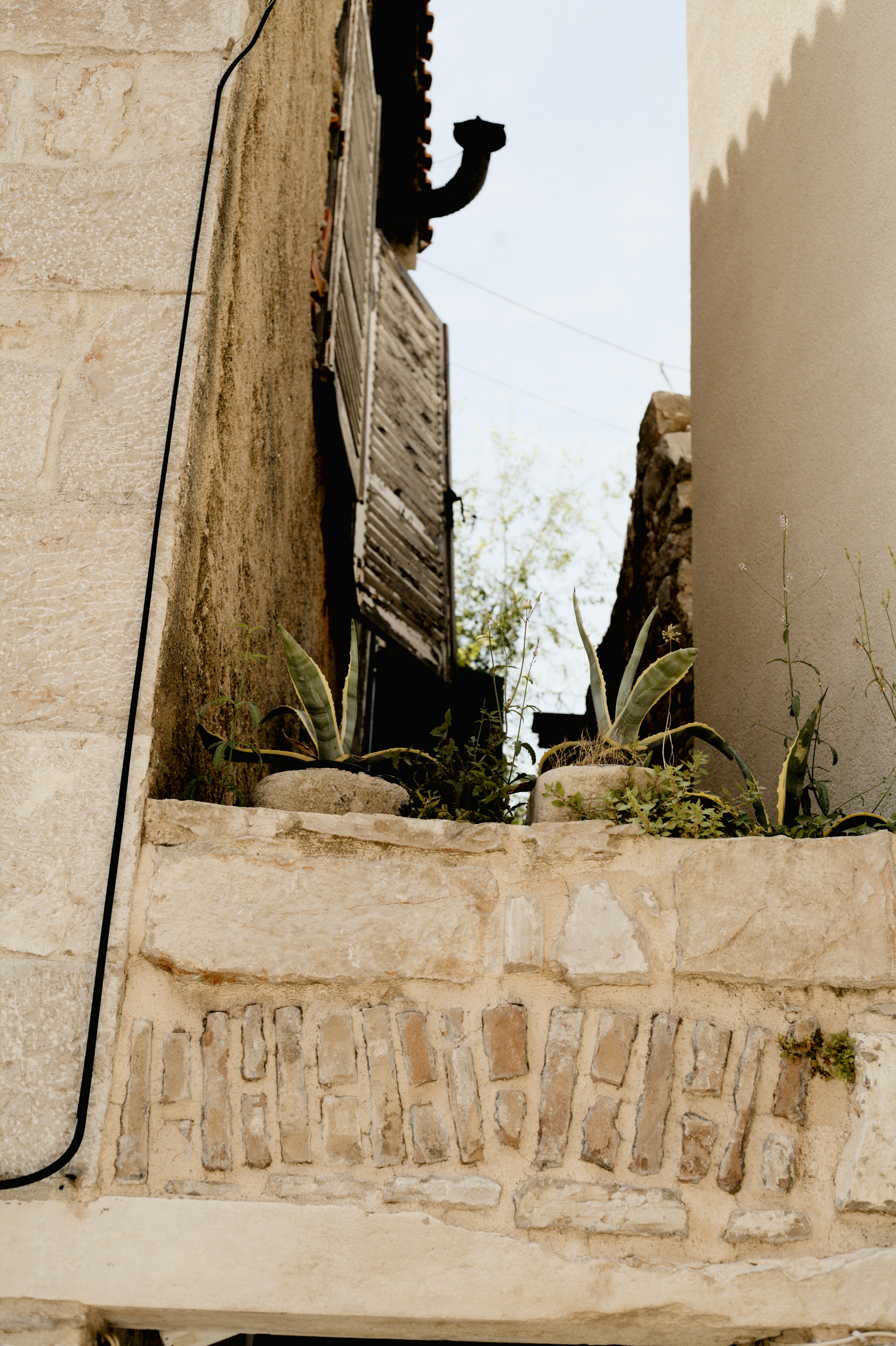 Photo by szabolcsantal