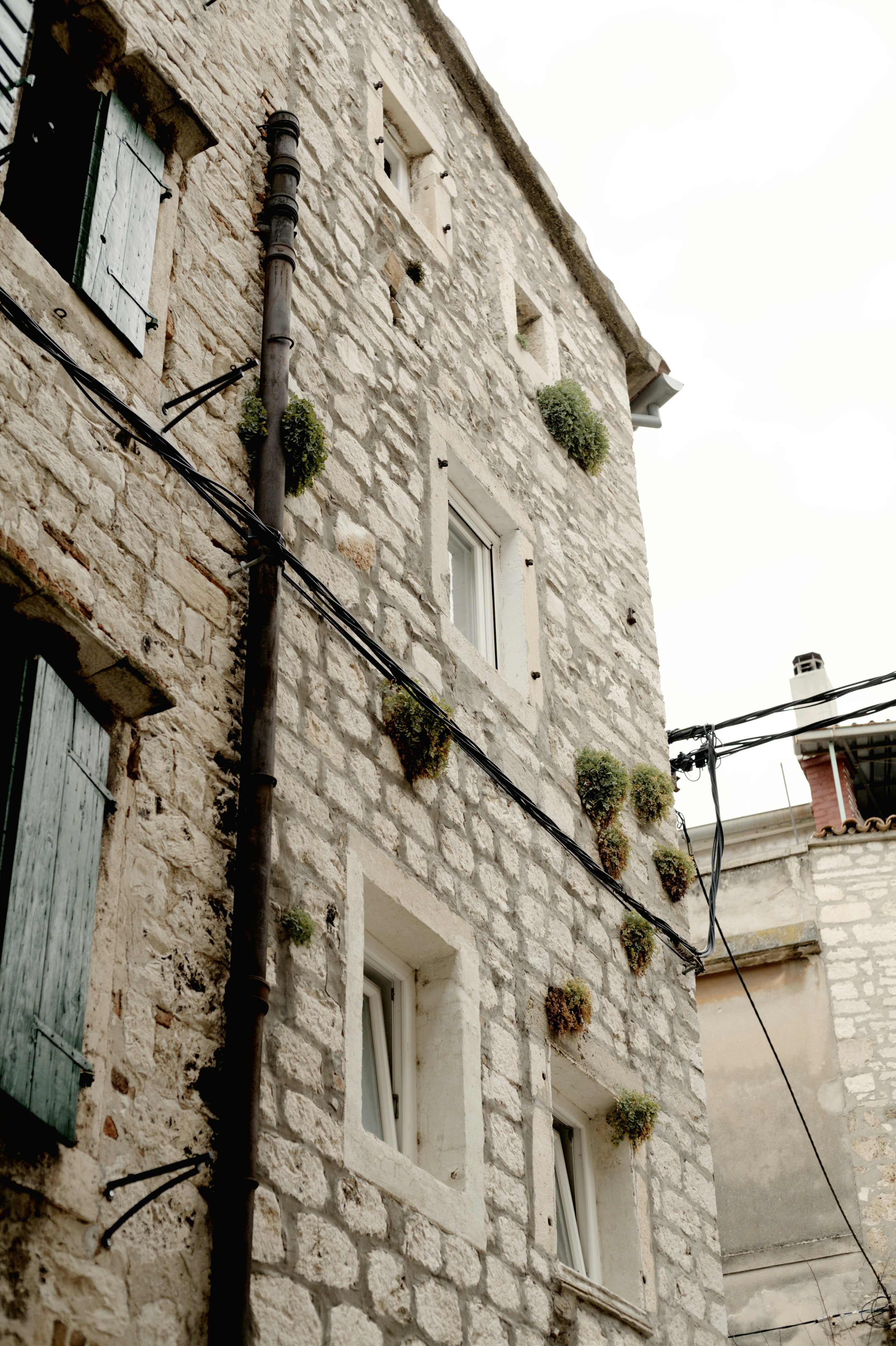 Photo by szabolcsantal