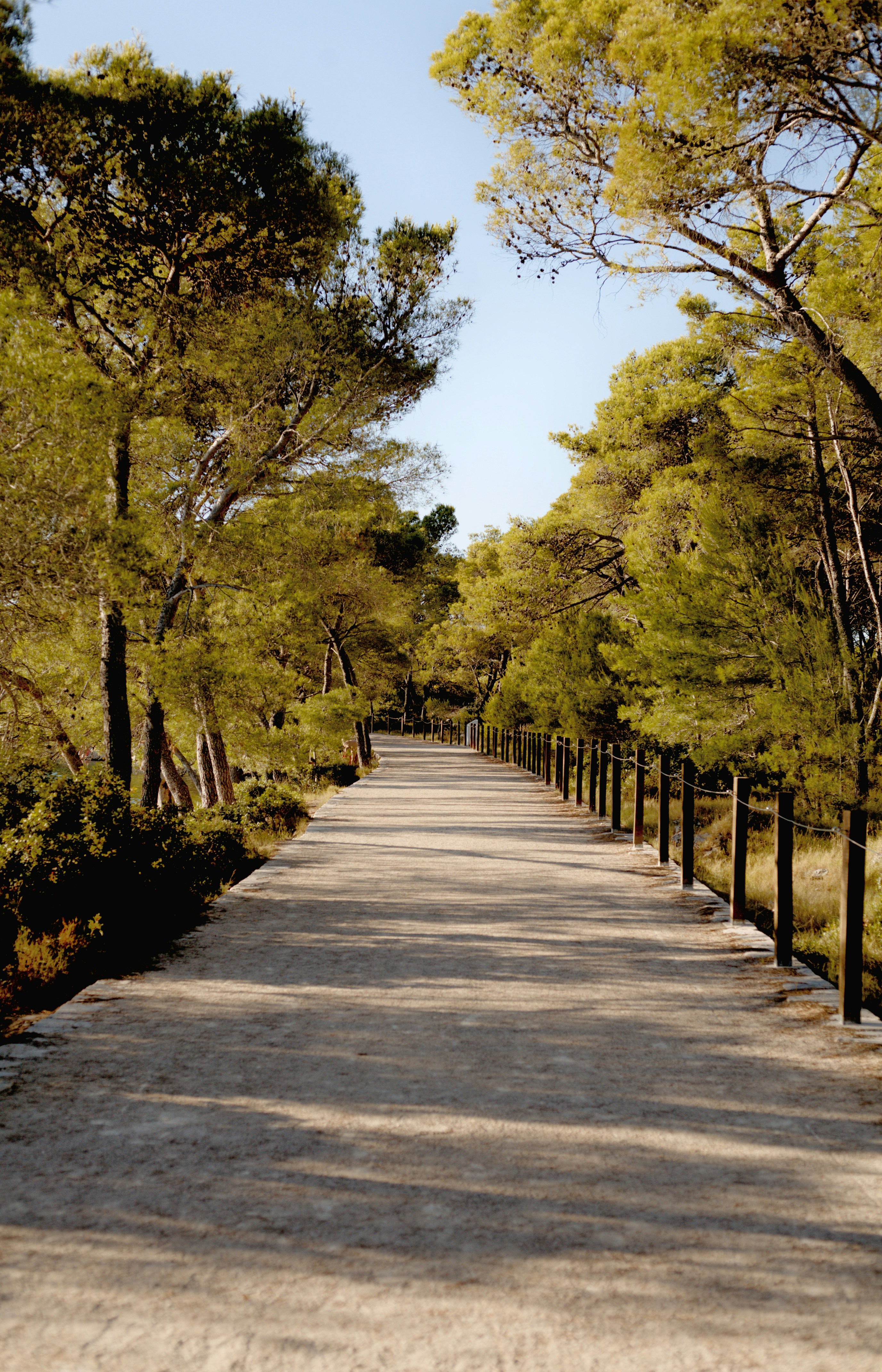 Photo by szabolcsantal