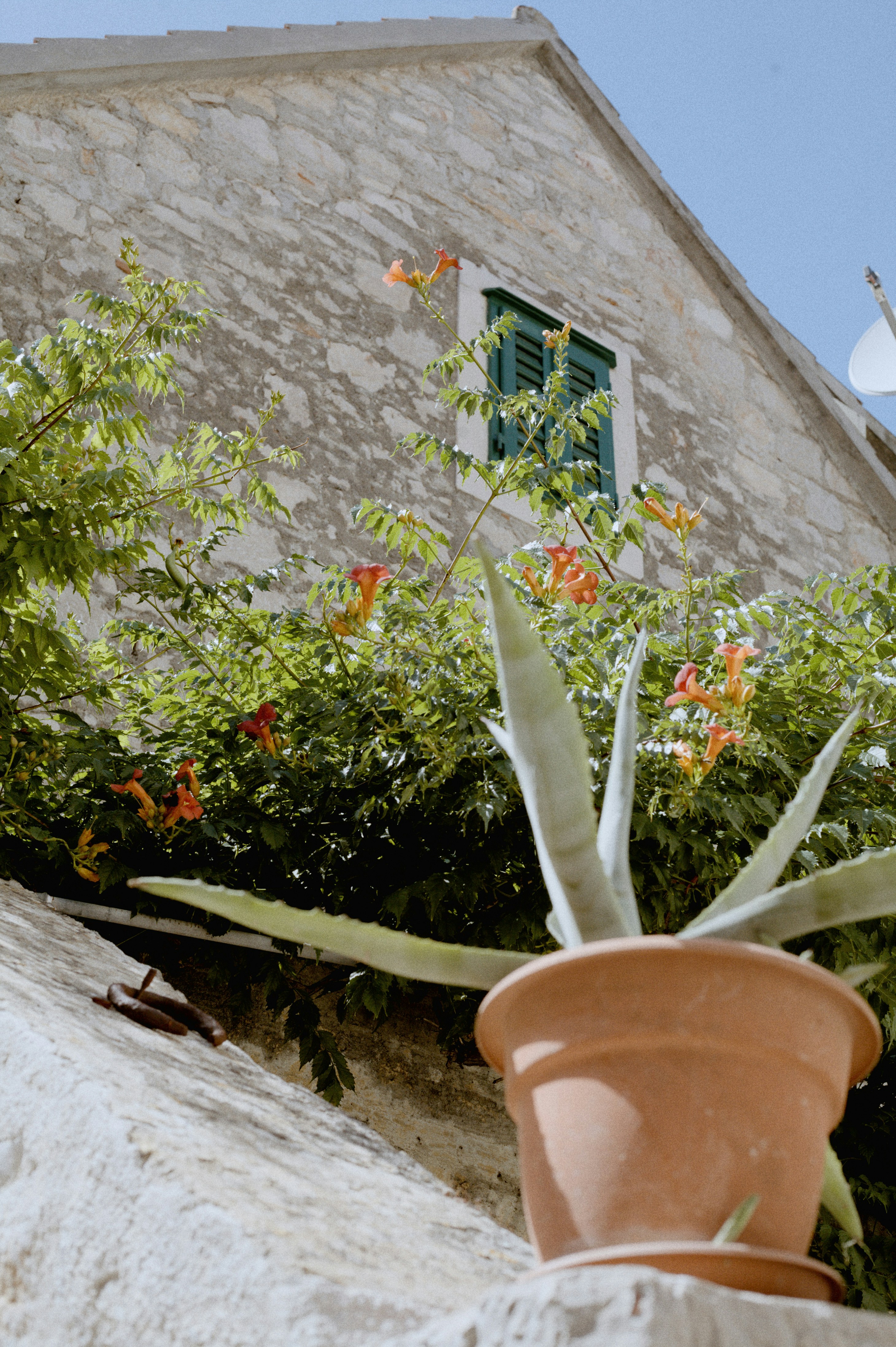 Photo by szabolcsantal