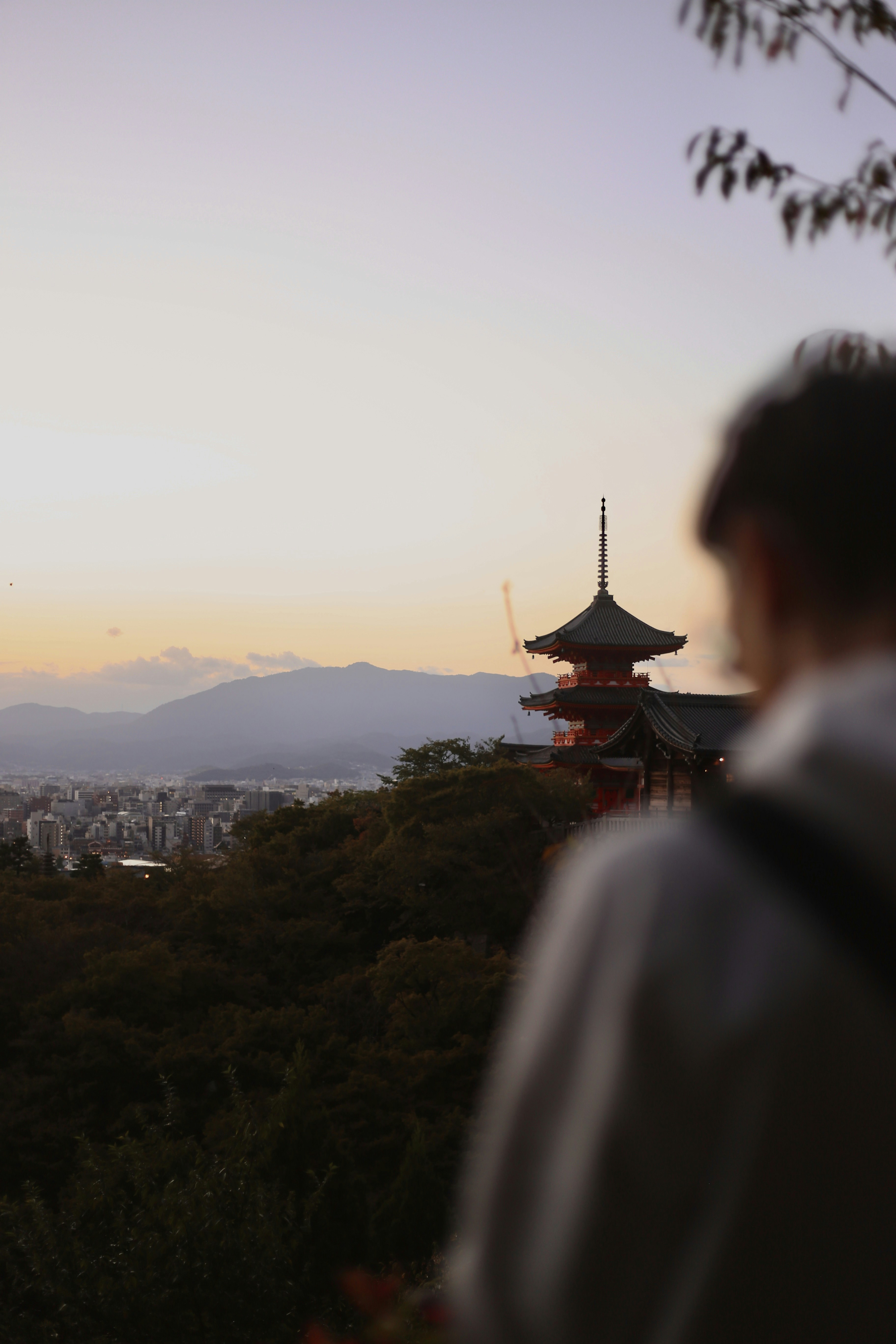 Photo by barbaracampagnoli