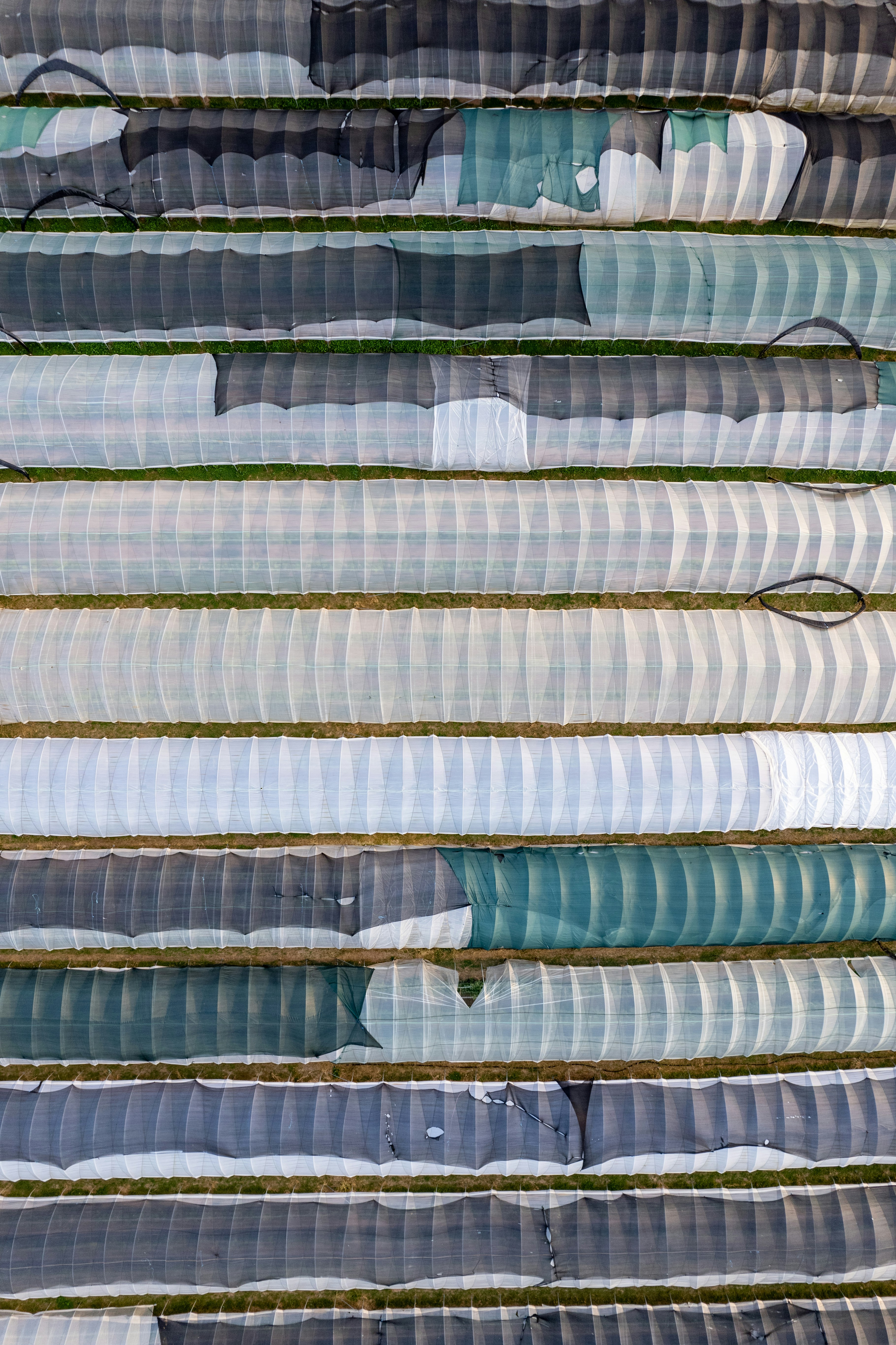 An abstract photo of a train track in the snow