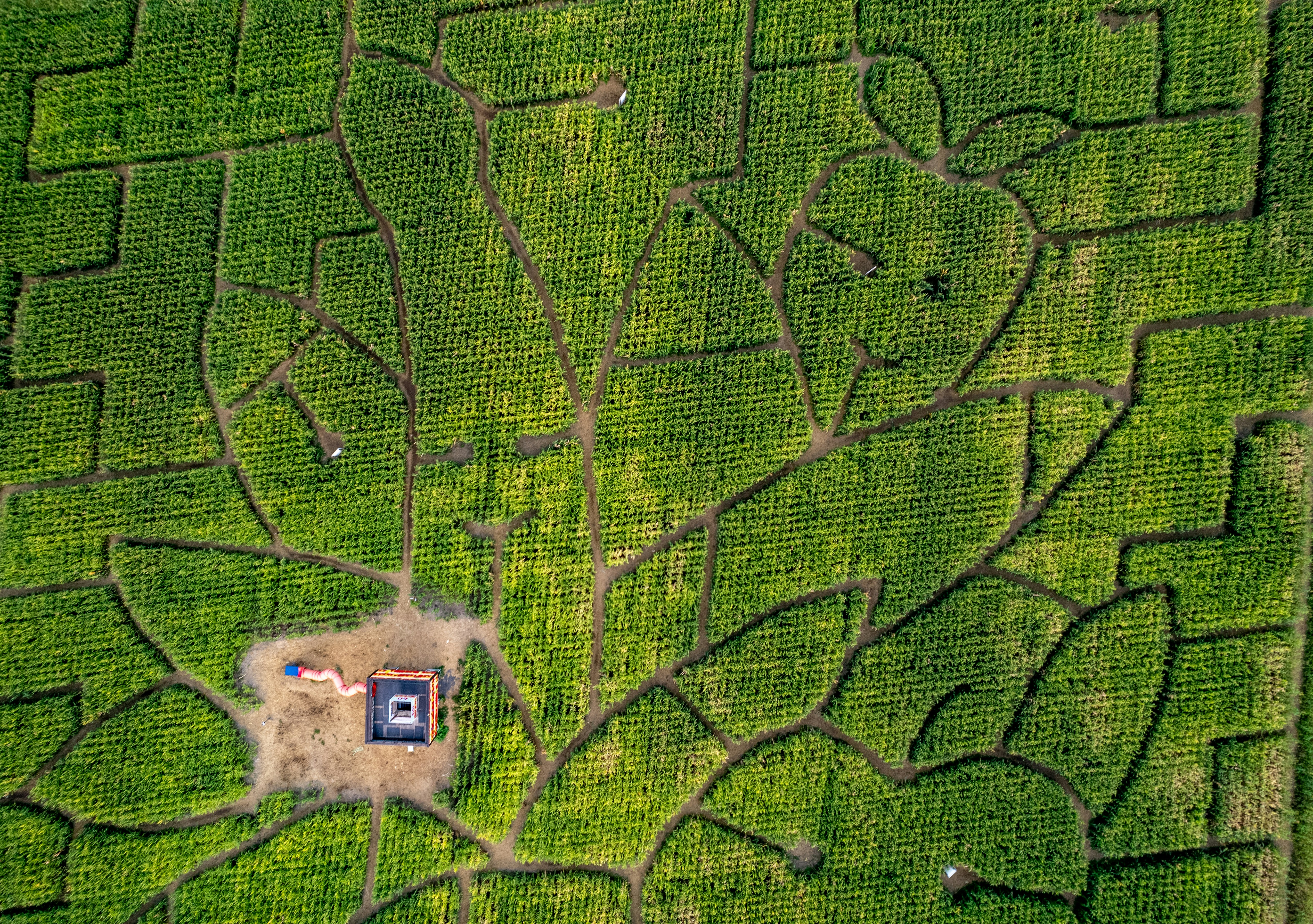 aerial view of green field with house