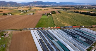 An aerial view of a farm with a train passing by