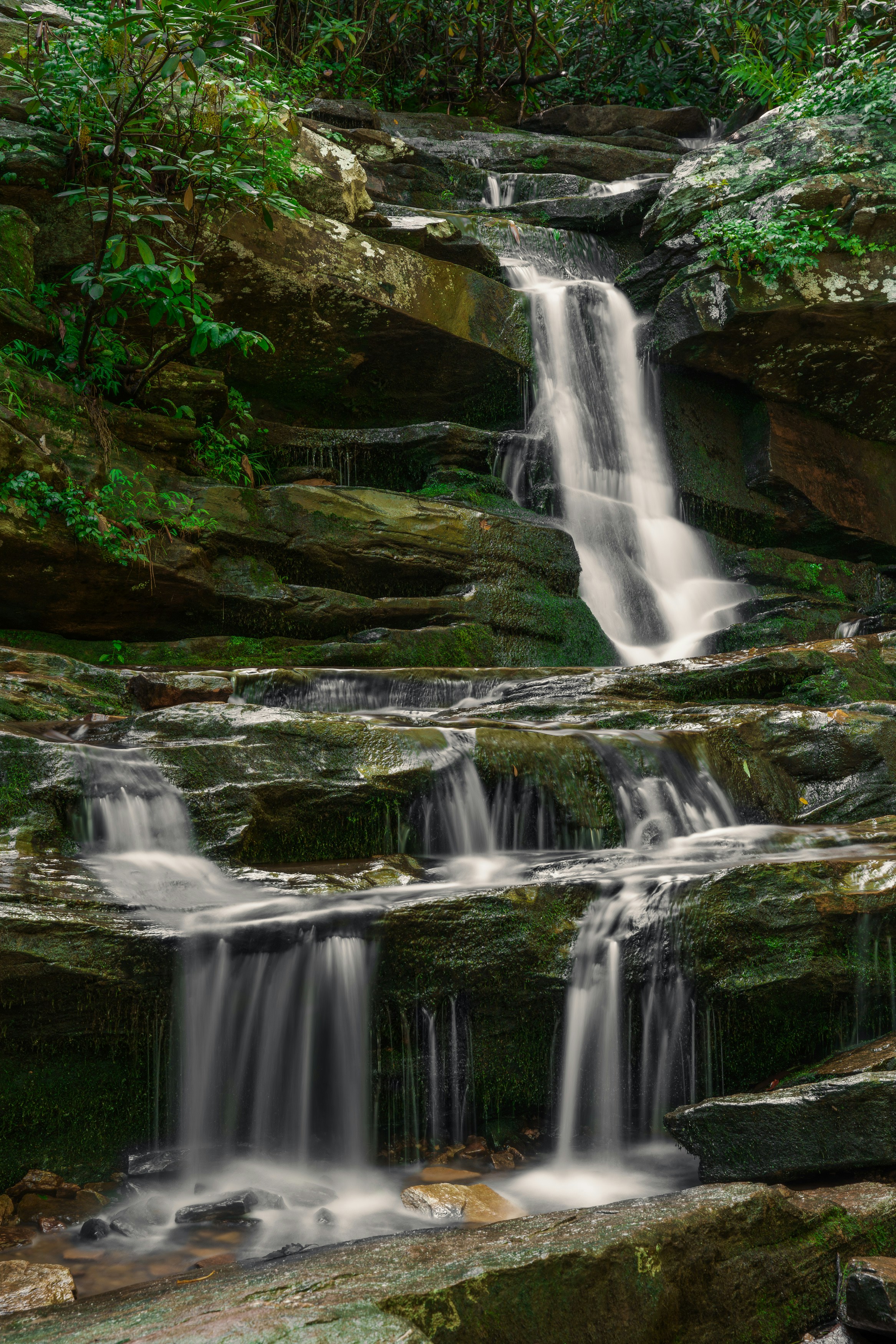 Photo by atharvaramdurgkar