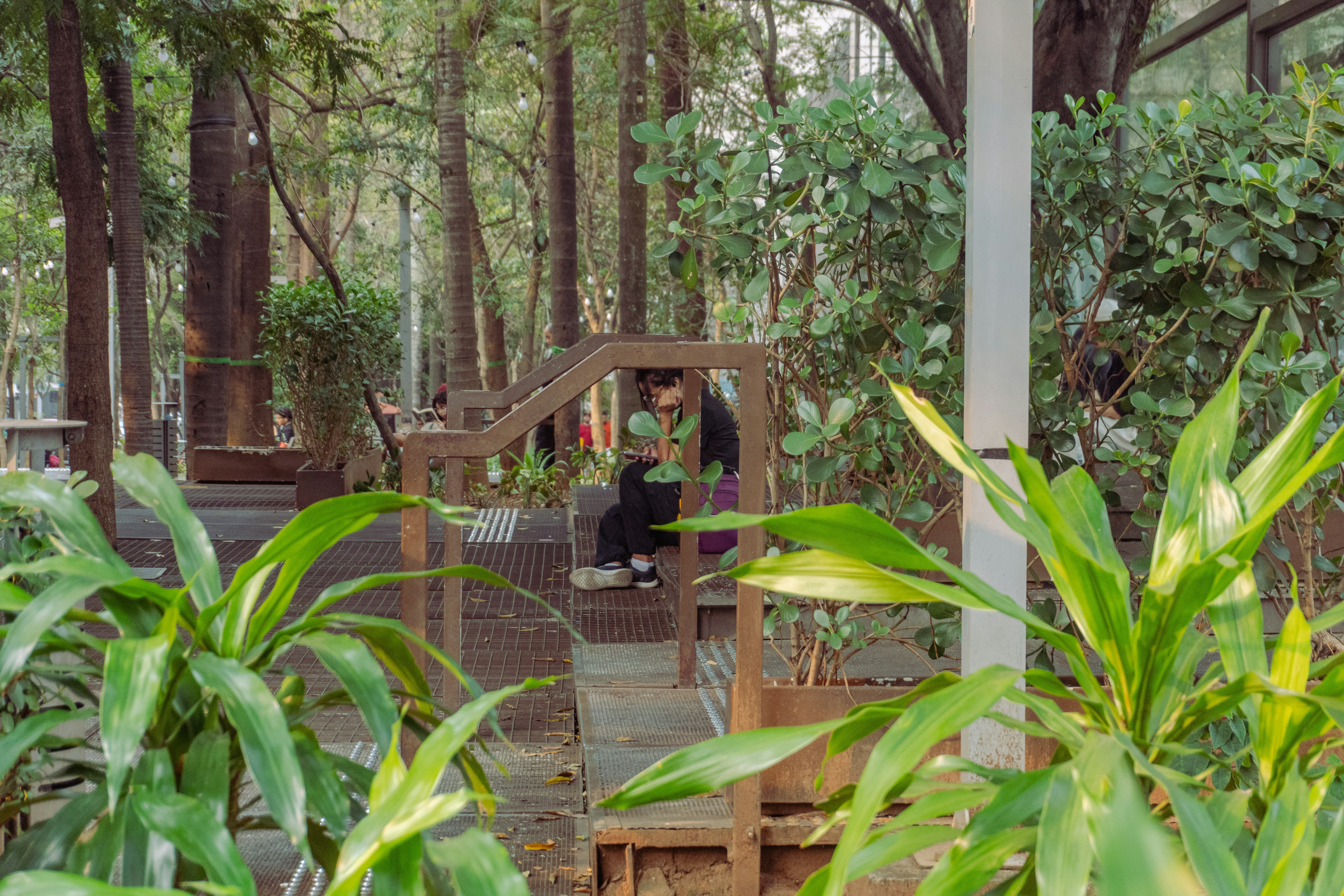 Photo by darwinboaventura