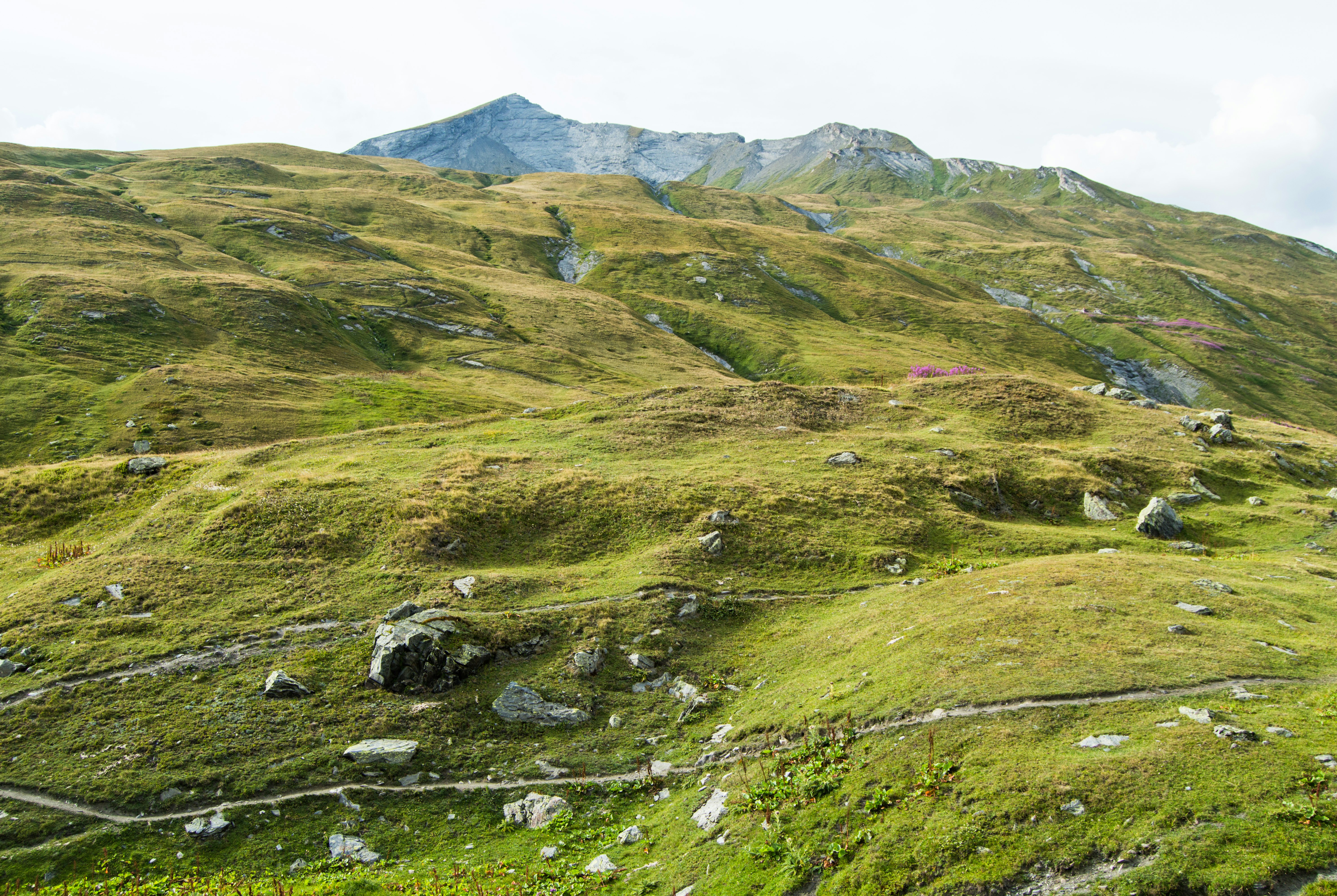 Photo by lucasgallone