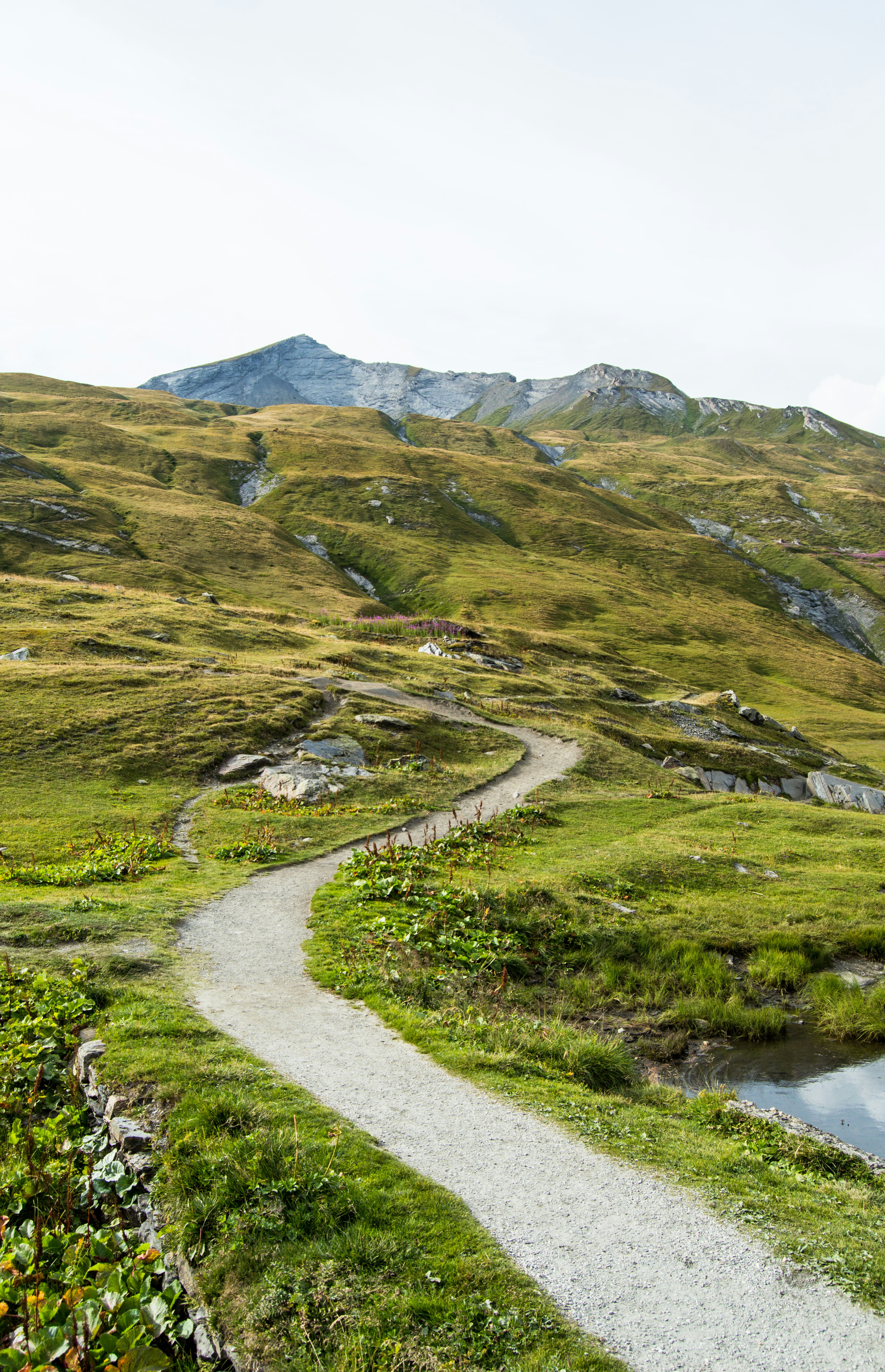 Photo by lucasgallone