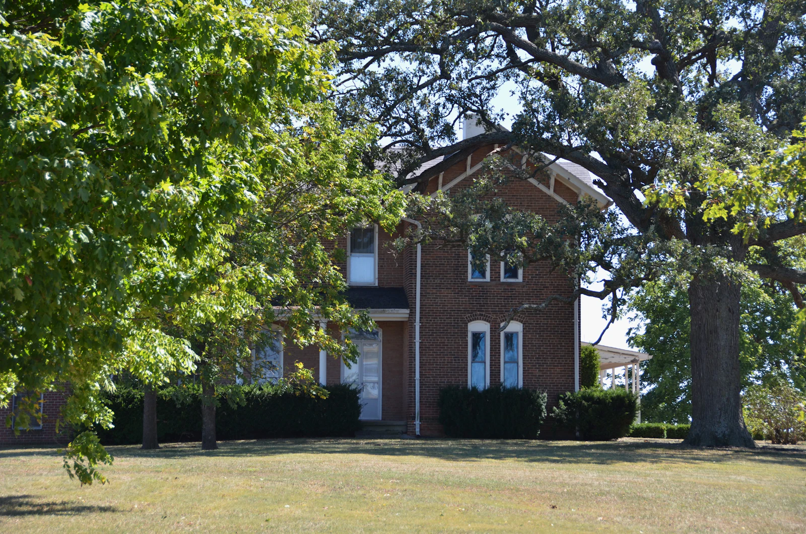 A brick residential home framed by a large mature oak and leafy trees