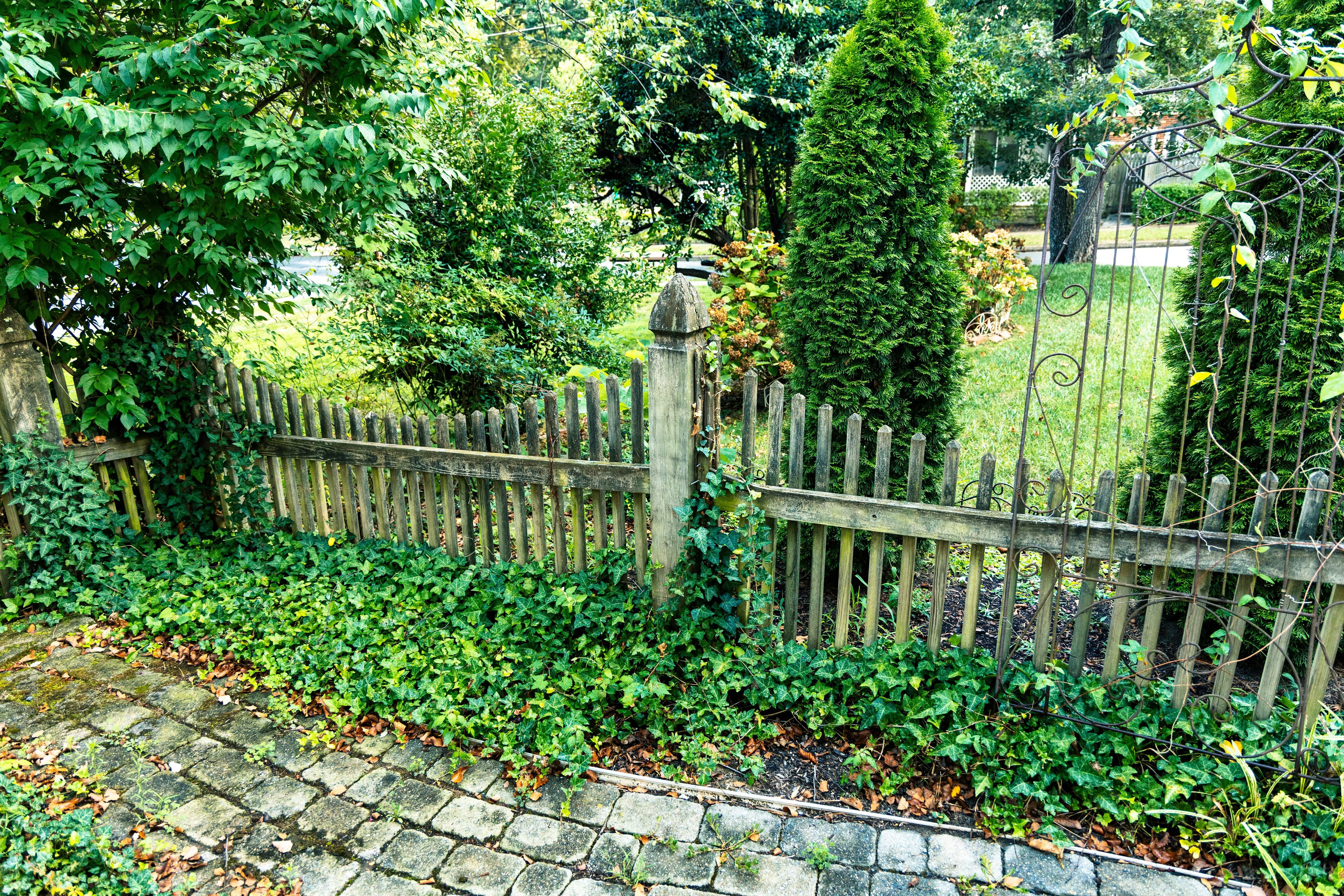 A well-maintained privacy fence with lush landscaping