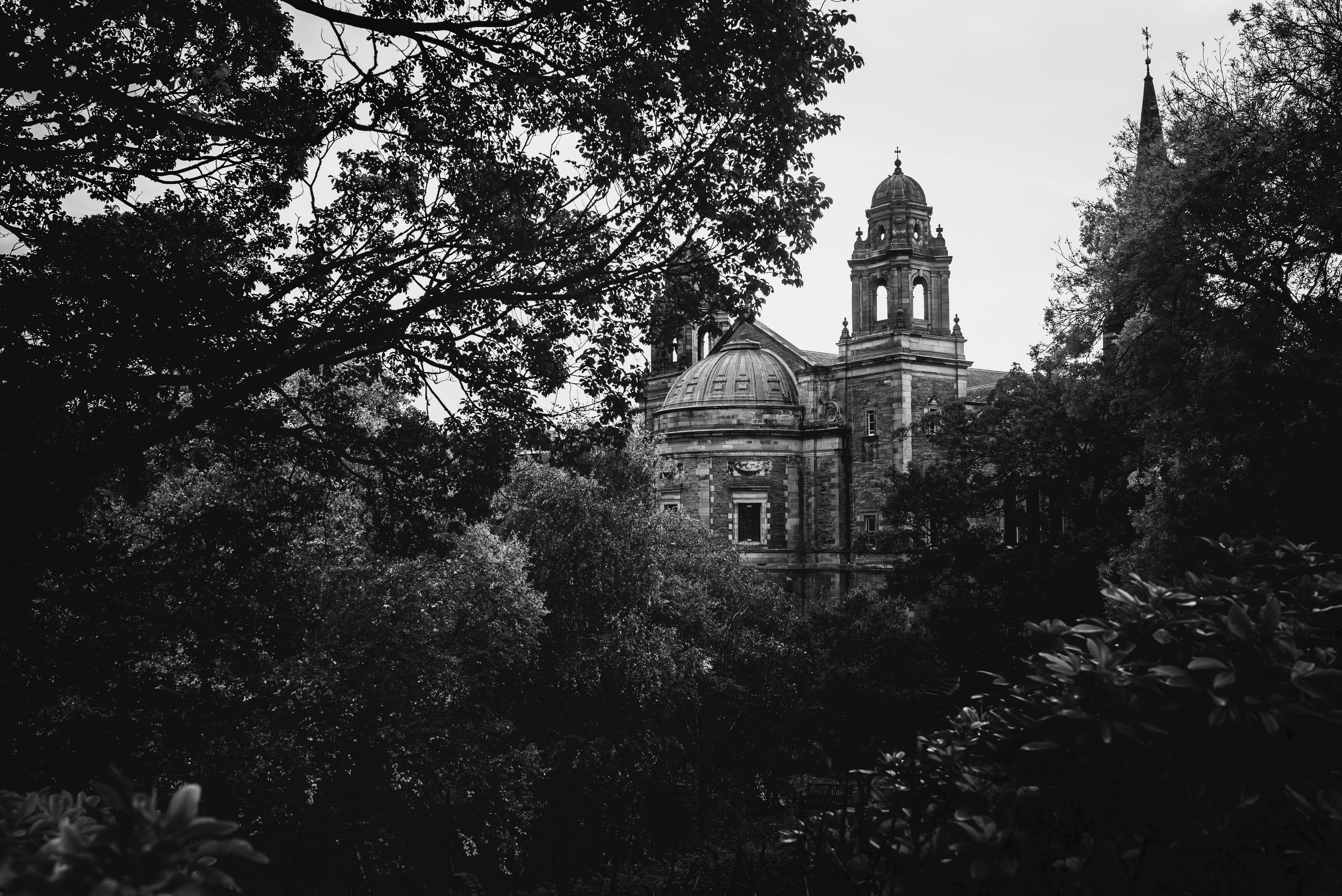 Photo by alivingston50