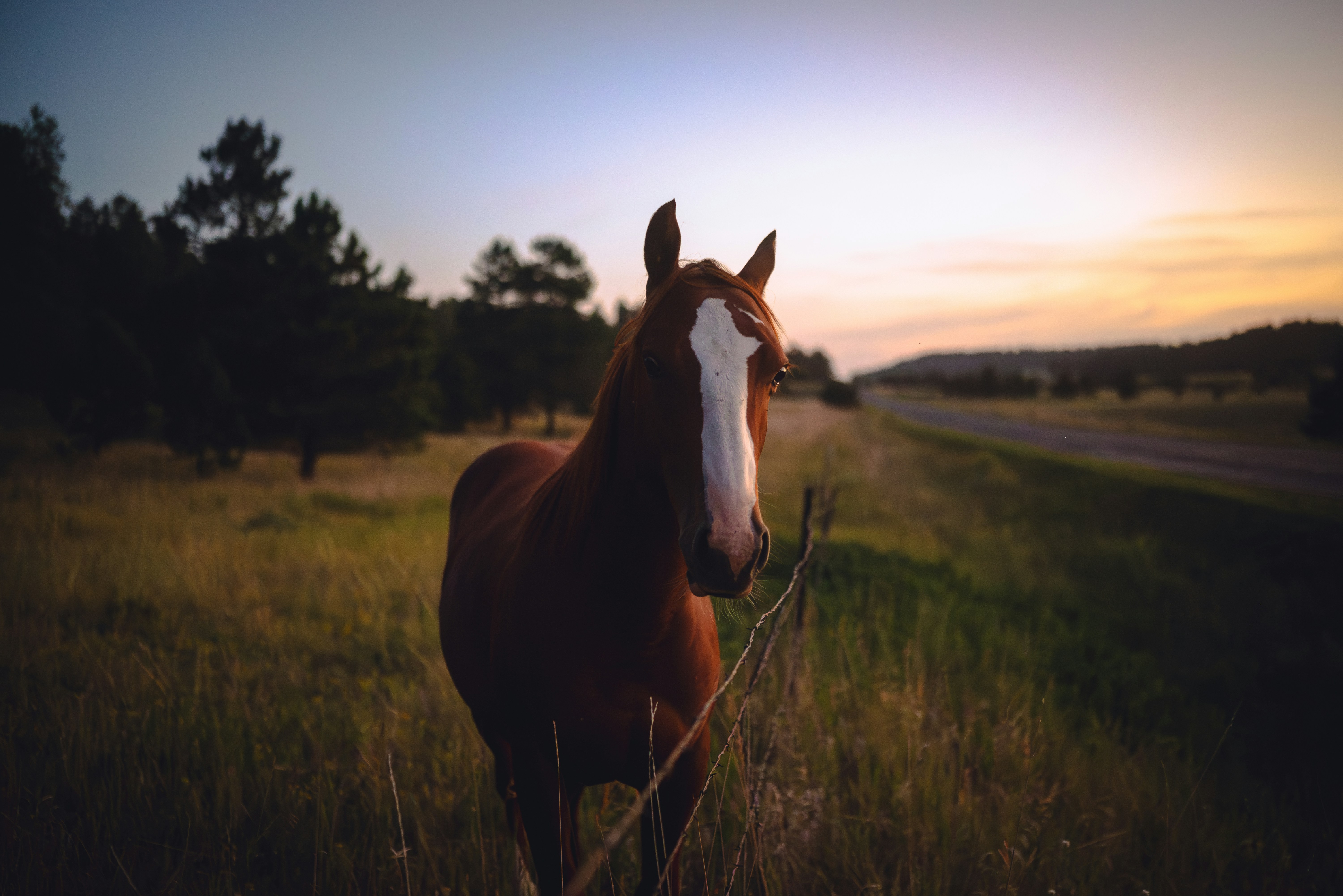 Photo by alivingston50