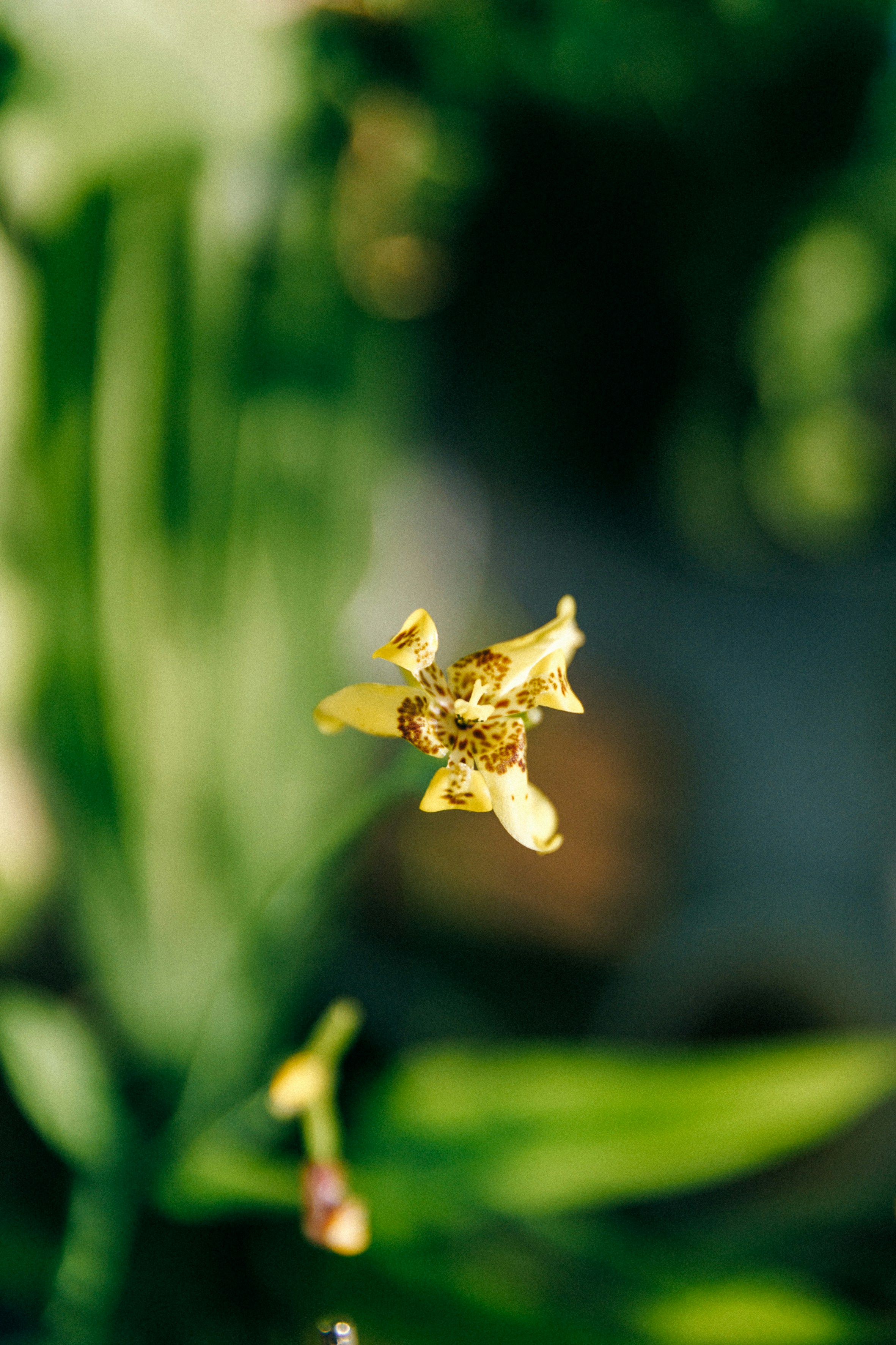 Photo by xromova