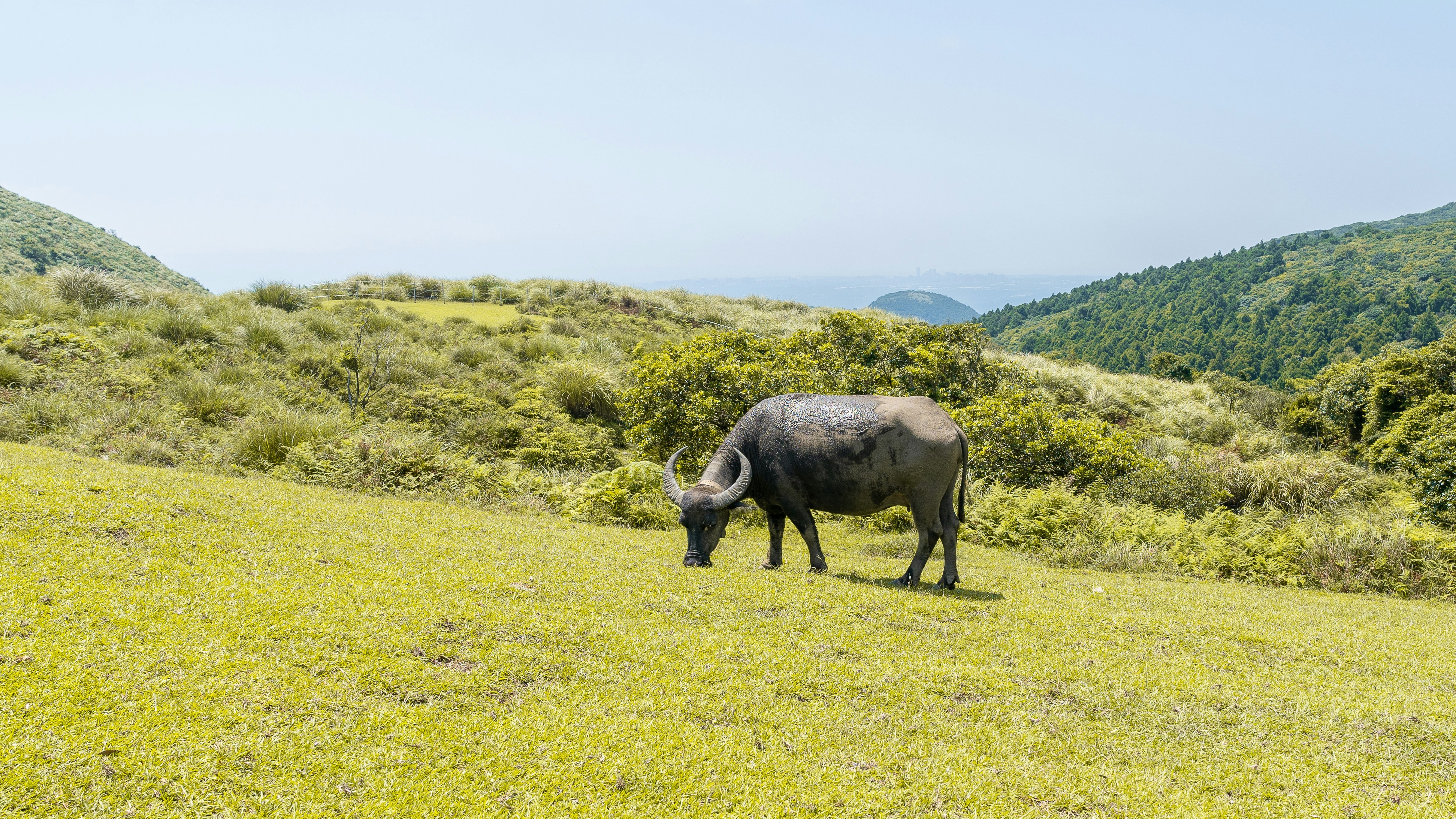 Photo by winstonchen