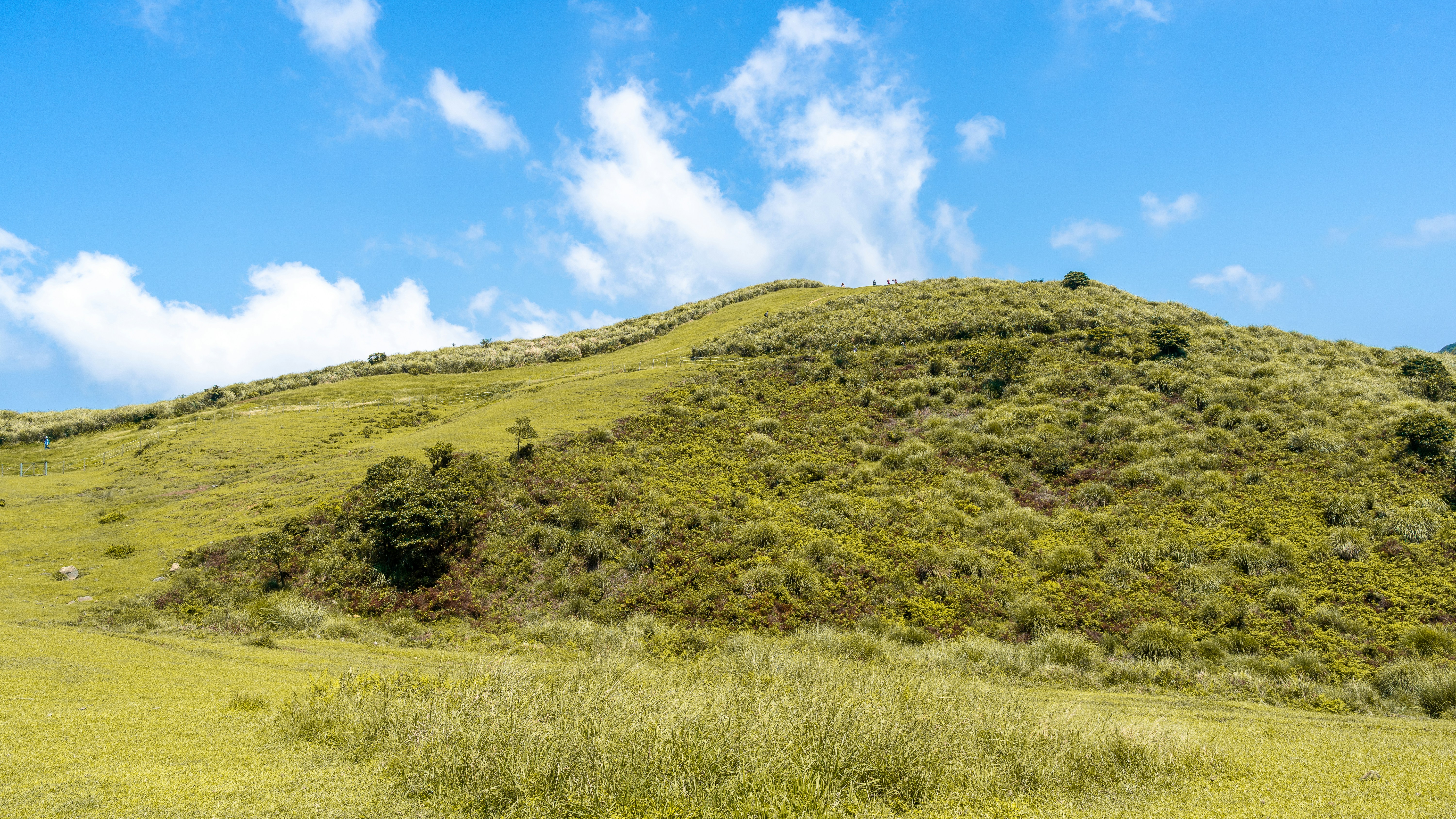 Photo by winstonchen