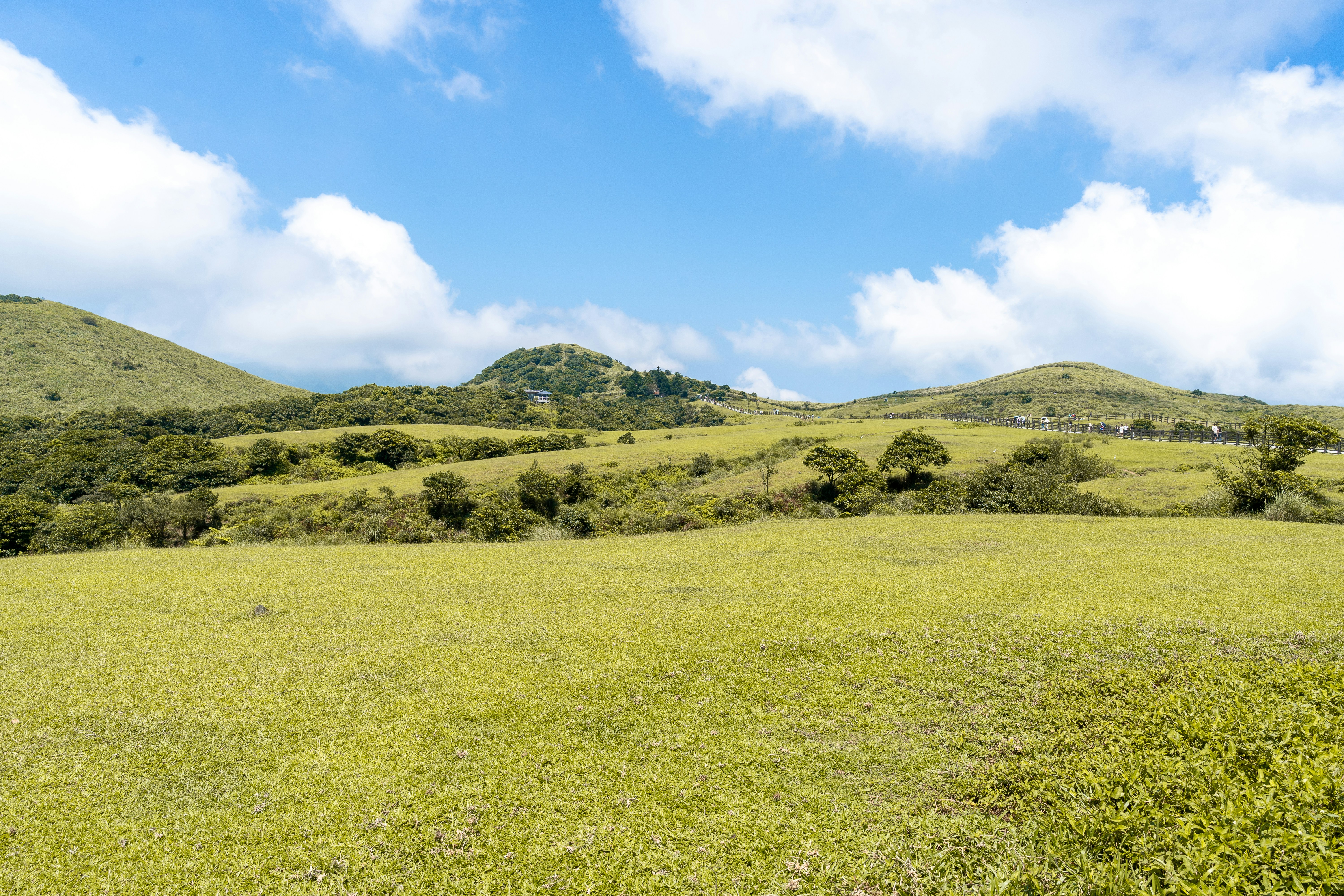 Photo by winstonchen