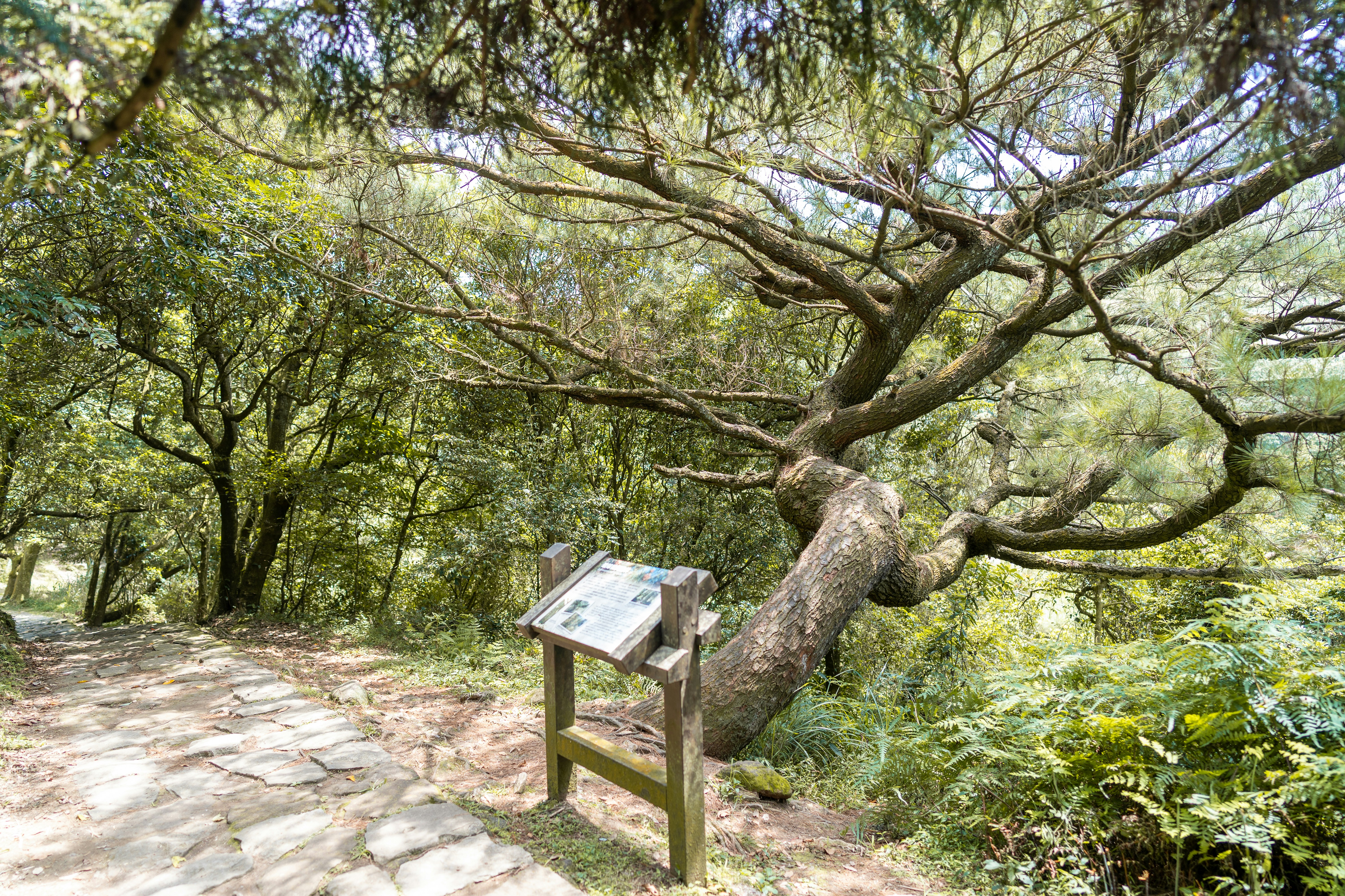 Photo by winstonchen