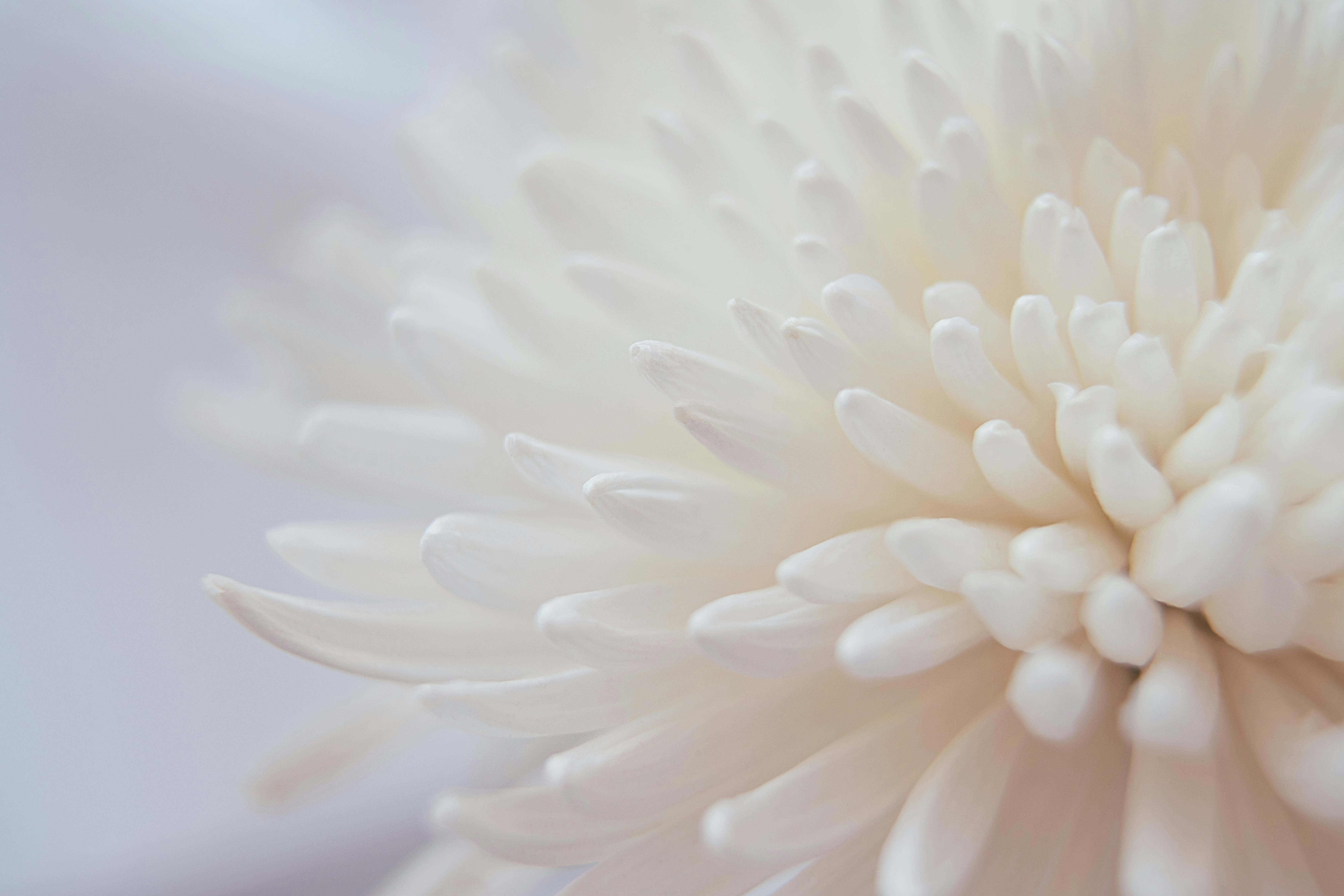 Photo by still_loony