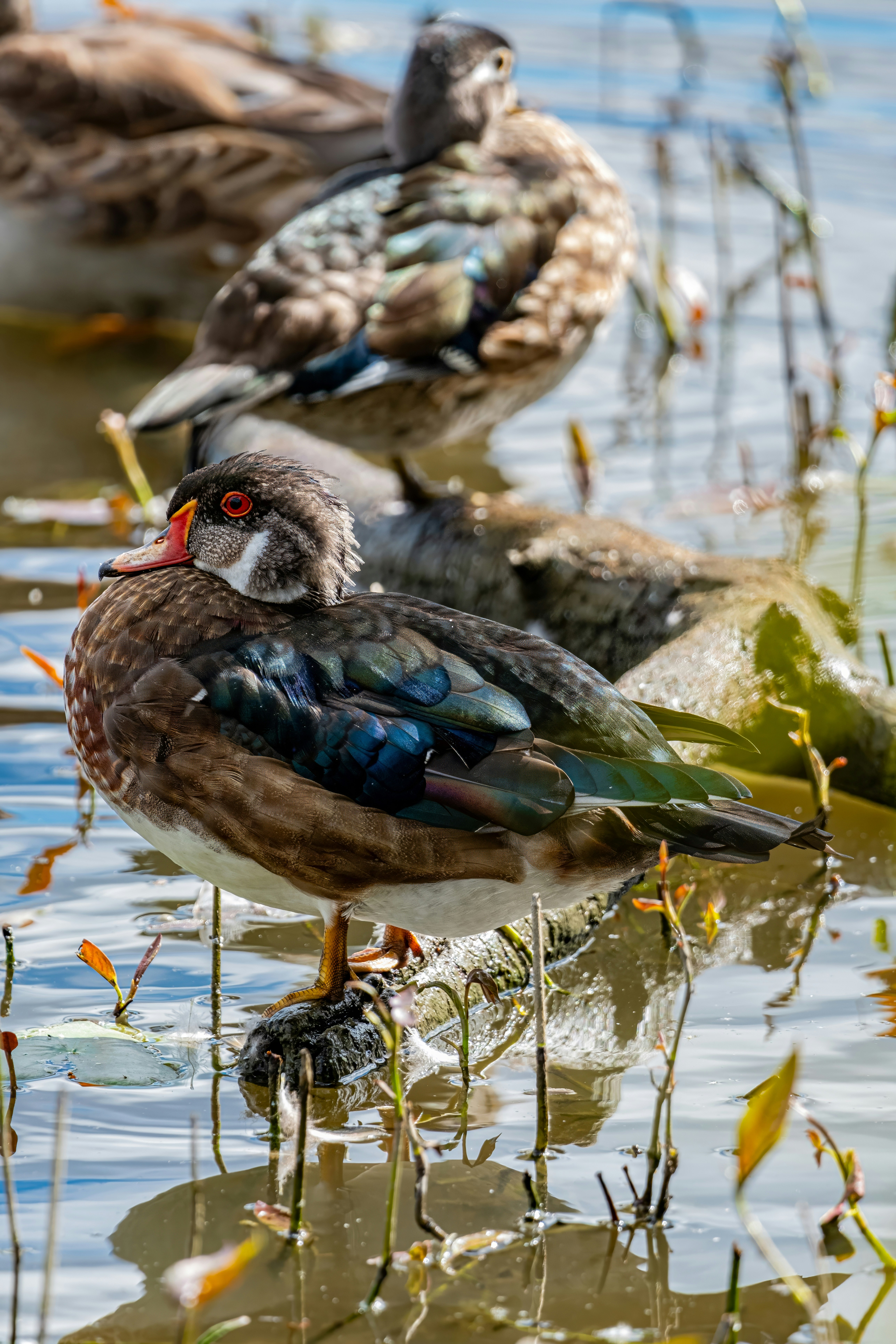 Photo by alexandredaoust