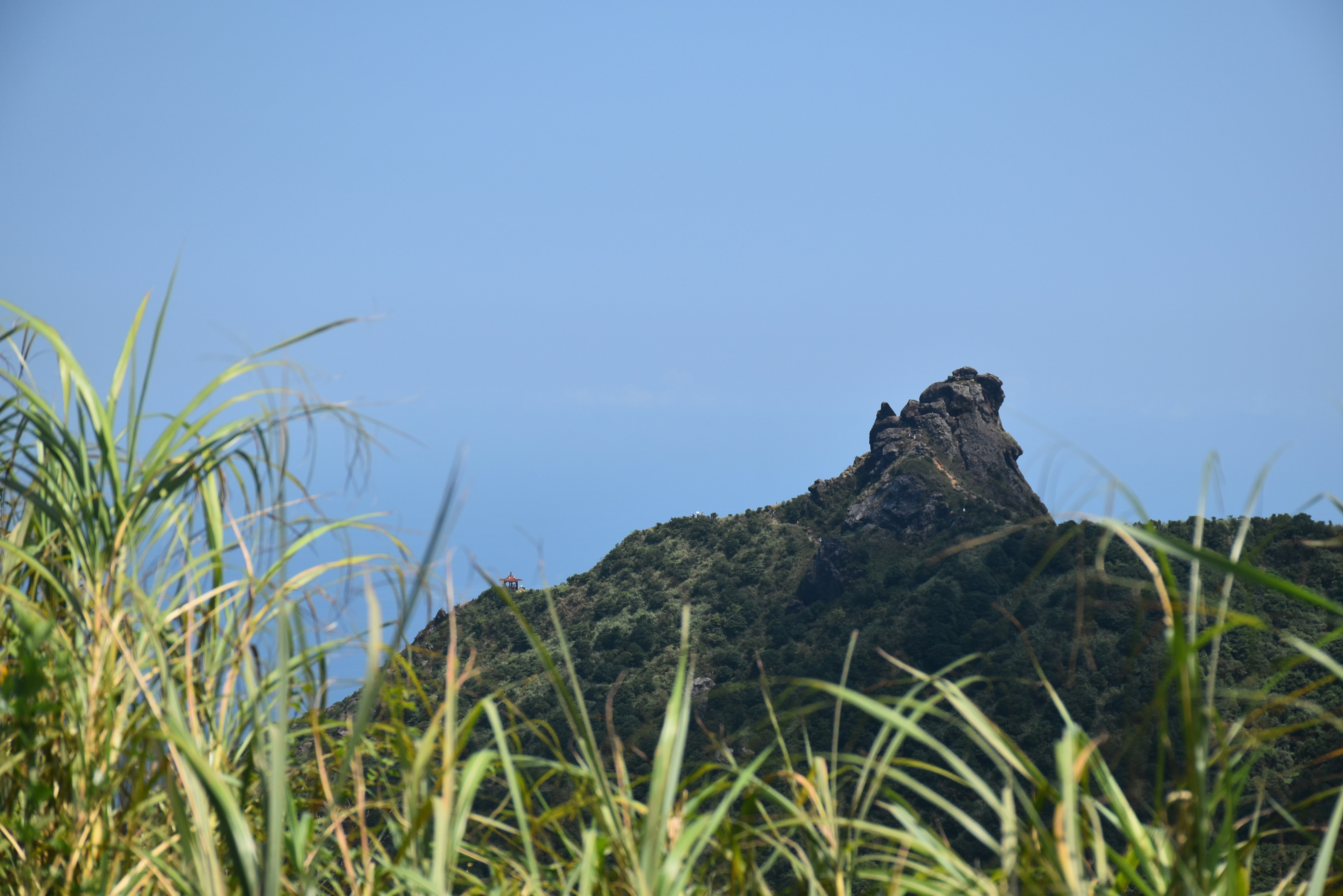 A view of a mountain from the top of a hill