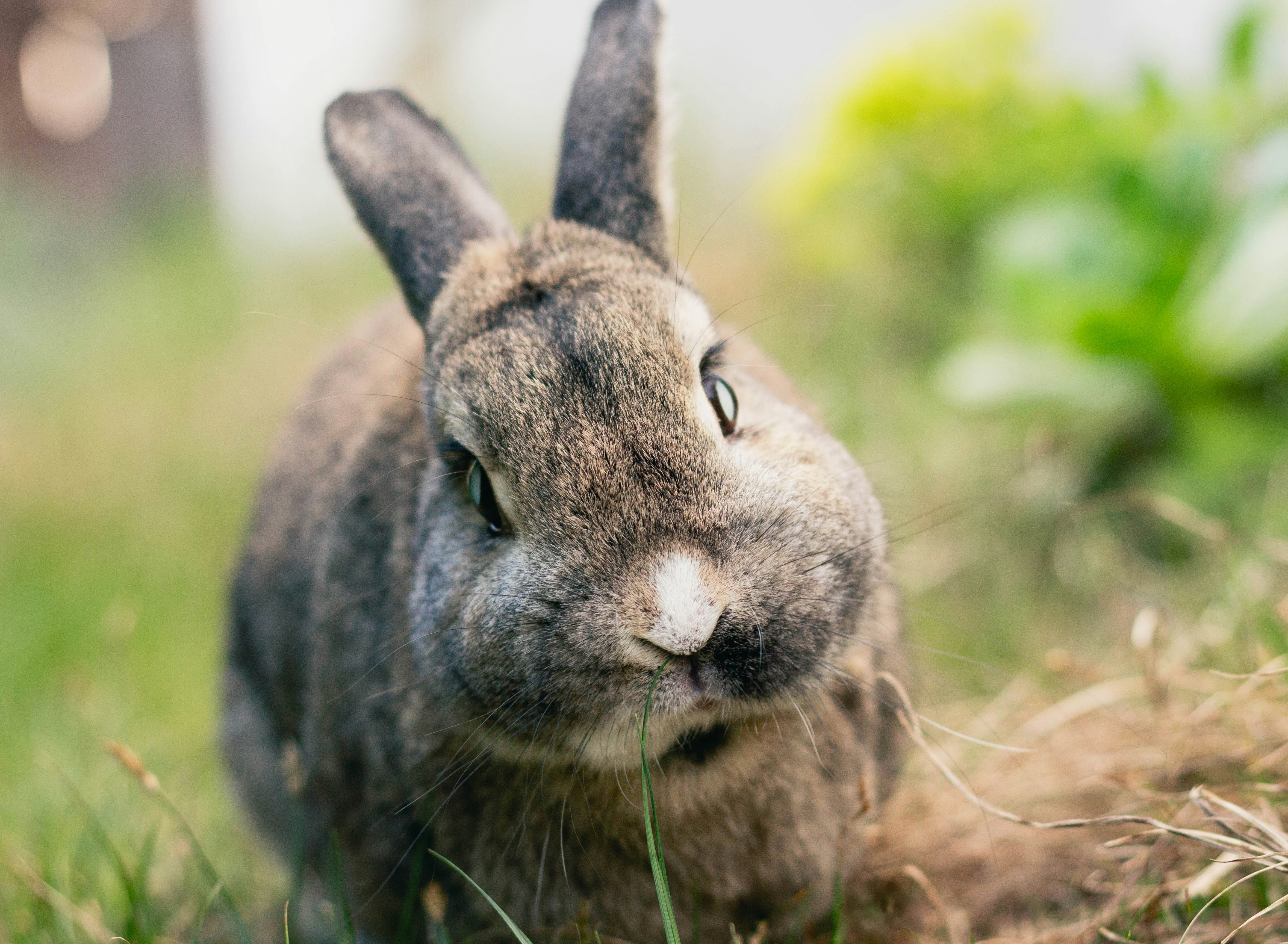 Photo by leslie_koenig