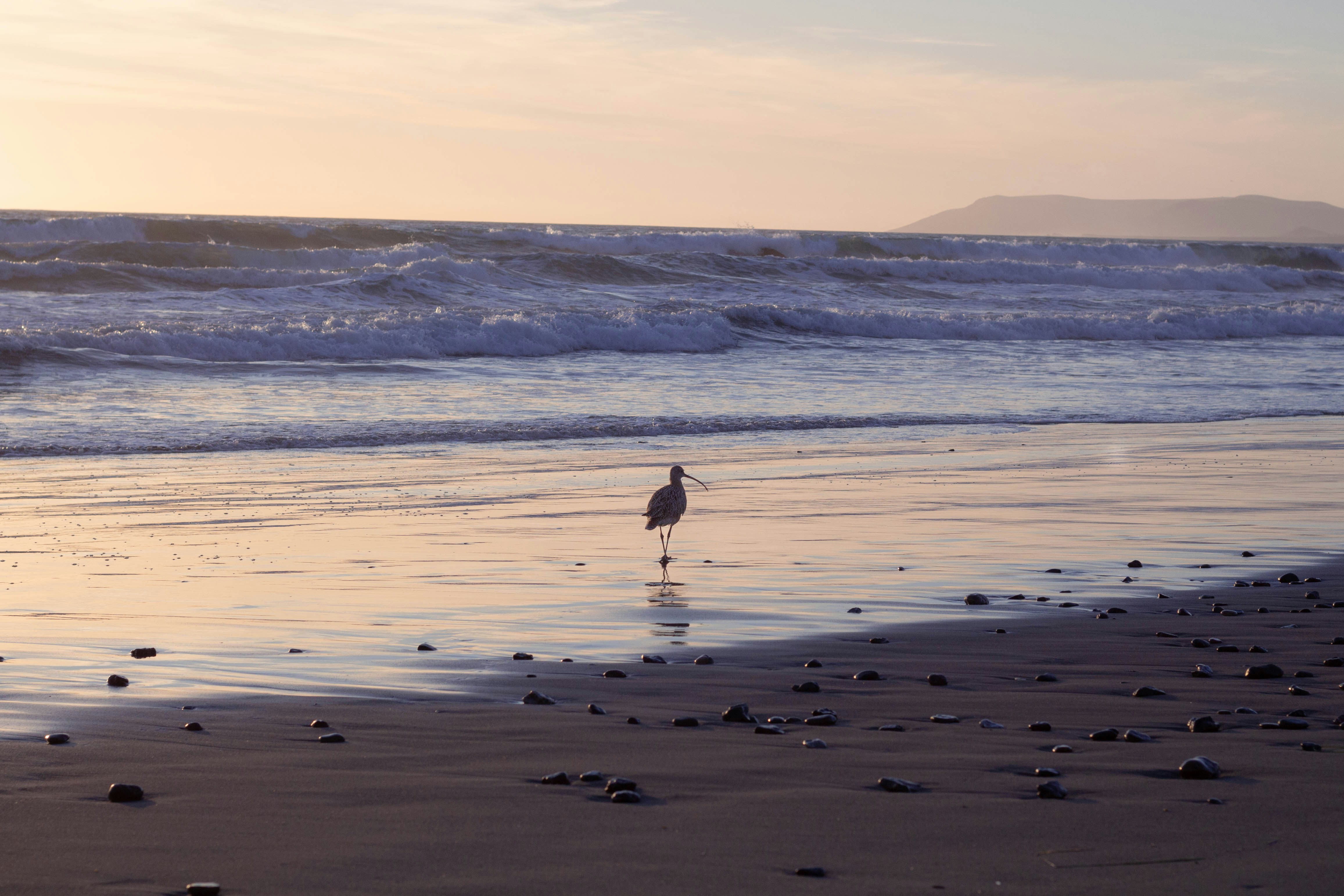 Photo by leslie_koenig