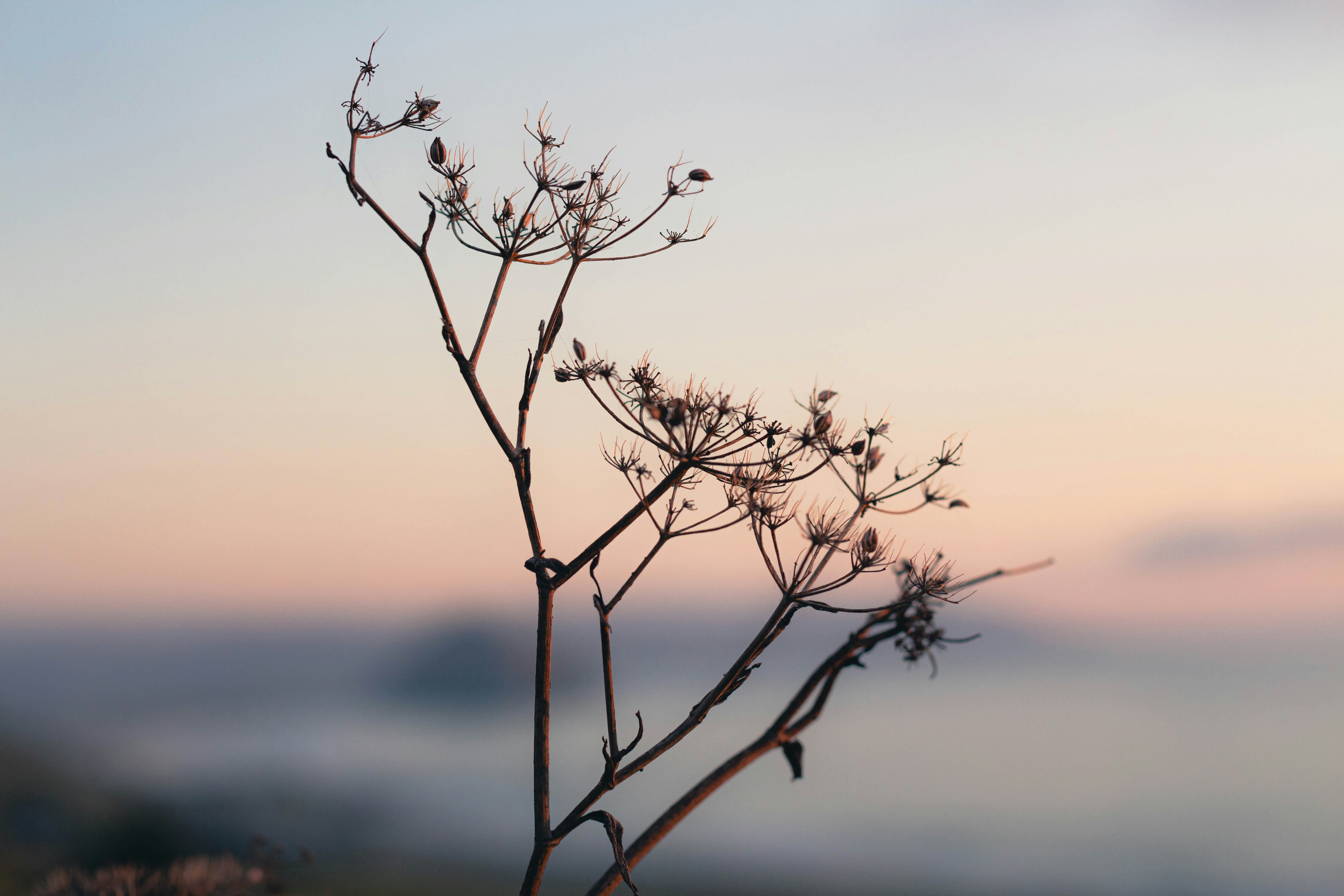 Photo by leslie_koenig