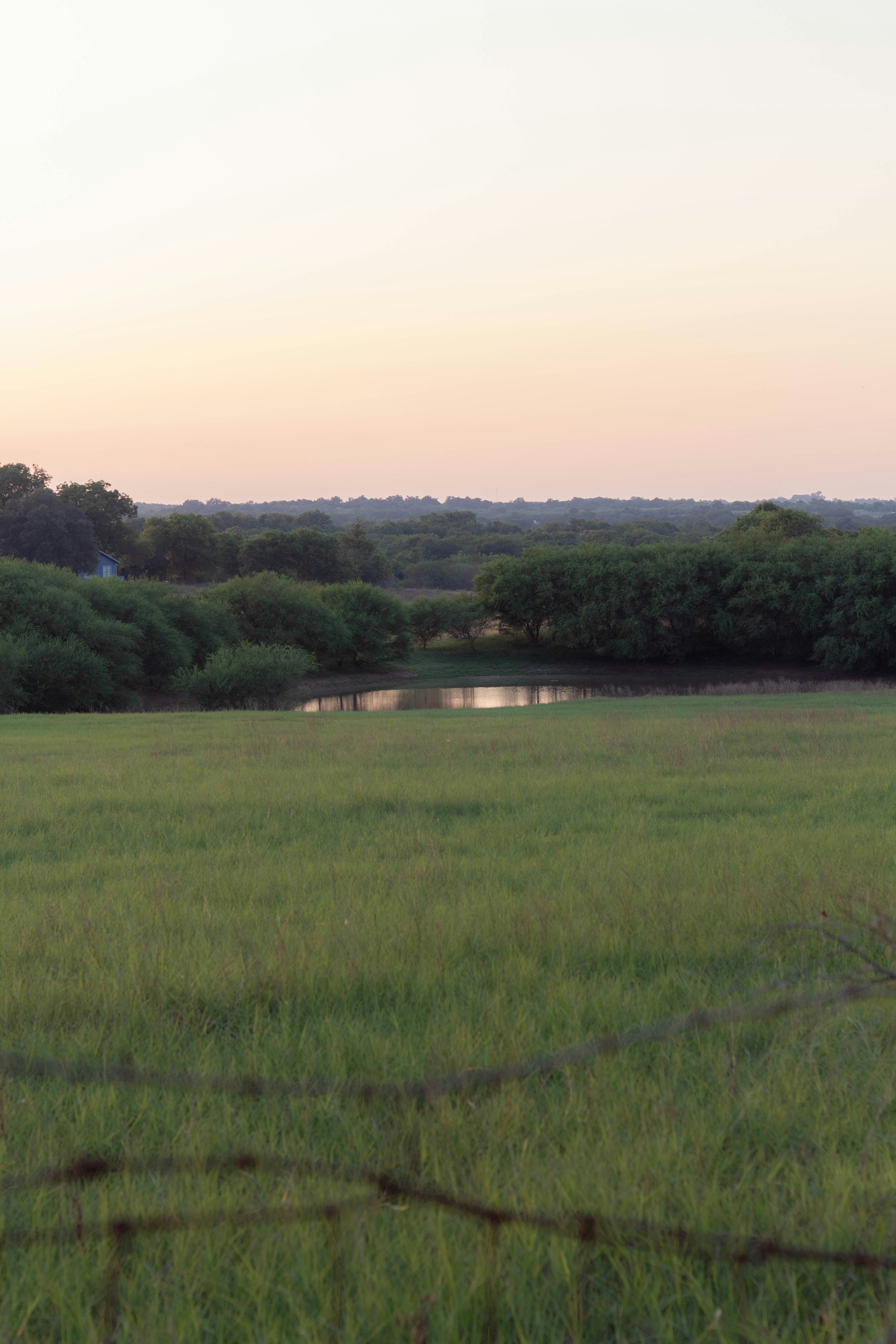 Ranch landscape with fence